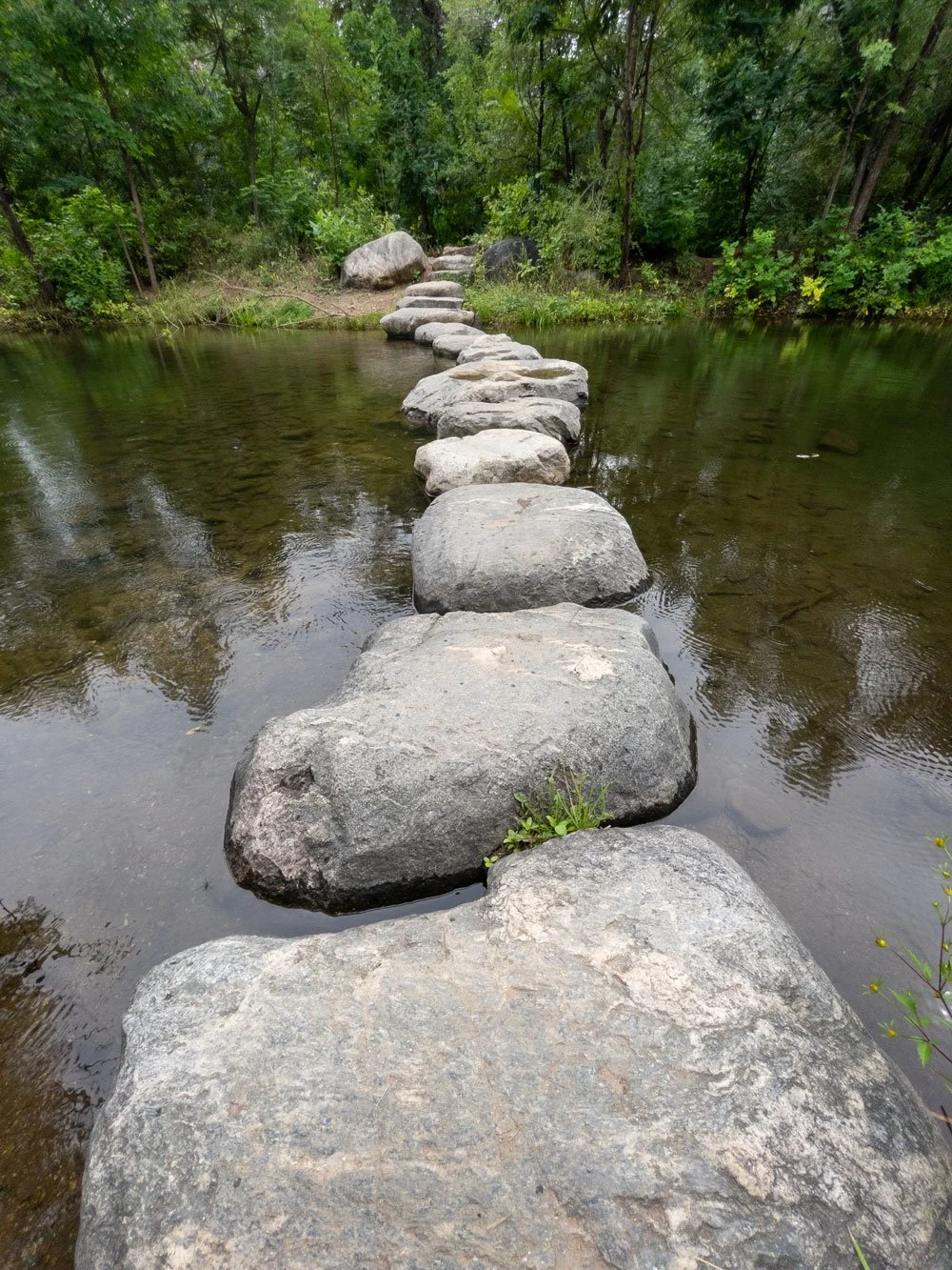 A stone footpath crossing a shallow creek in a wooded area.