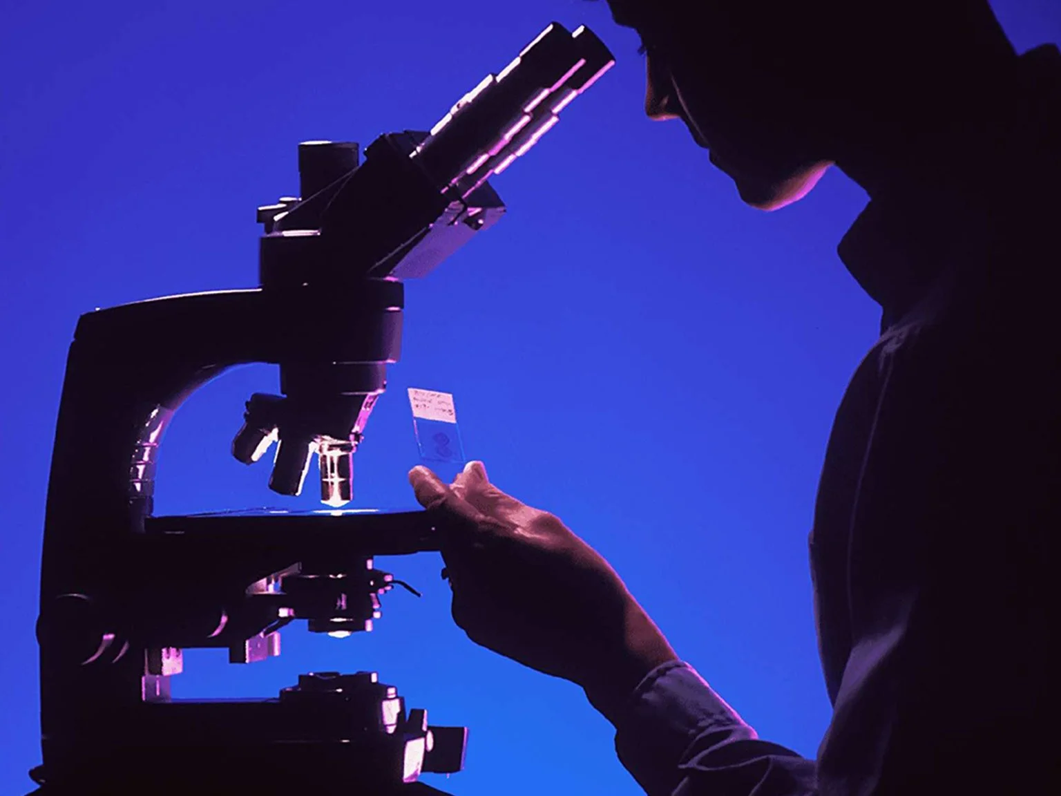 Laboratory Analysis of Shisha Cloud Composition