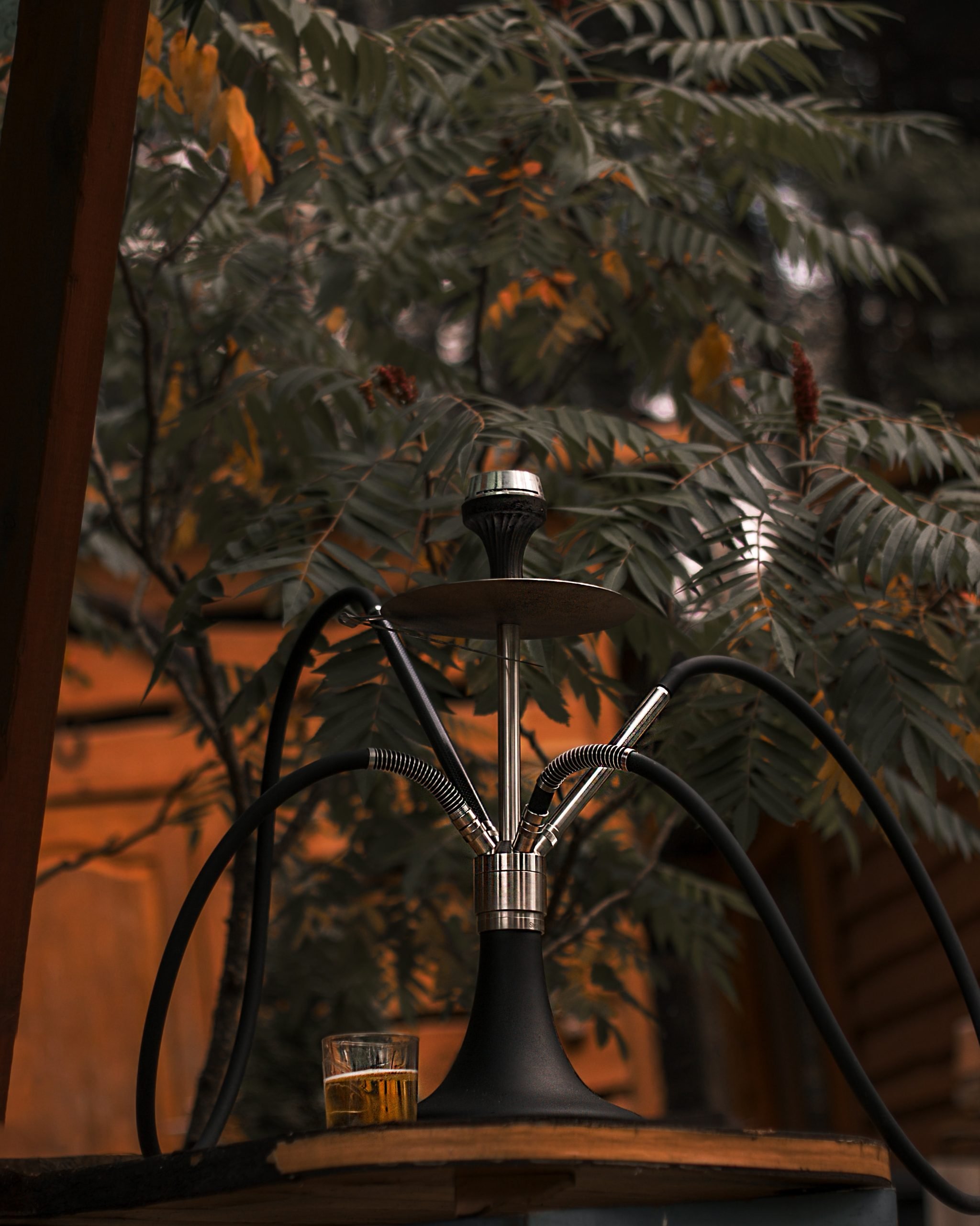 A hookah with four hoses on a table, with a glass of whiskey beside it, set outdoors near leafy plants and wooden walls.