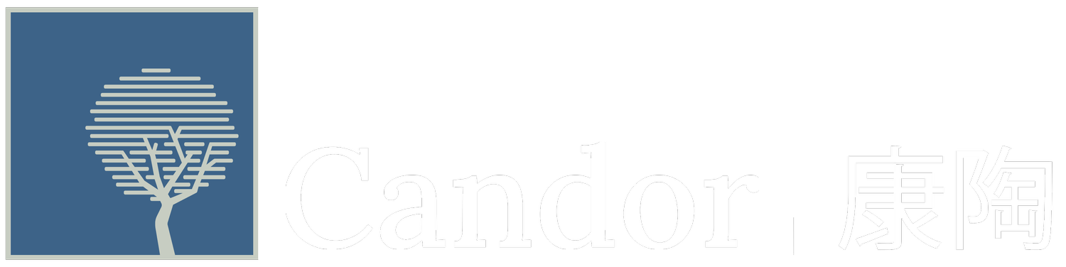 Candor Analytica