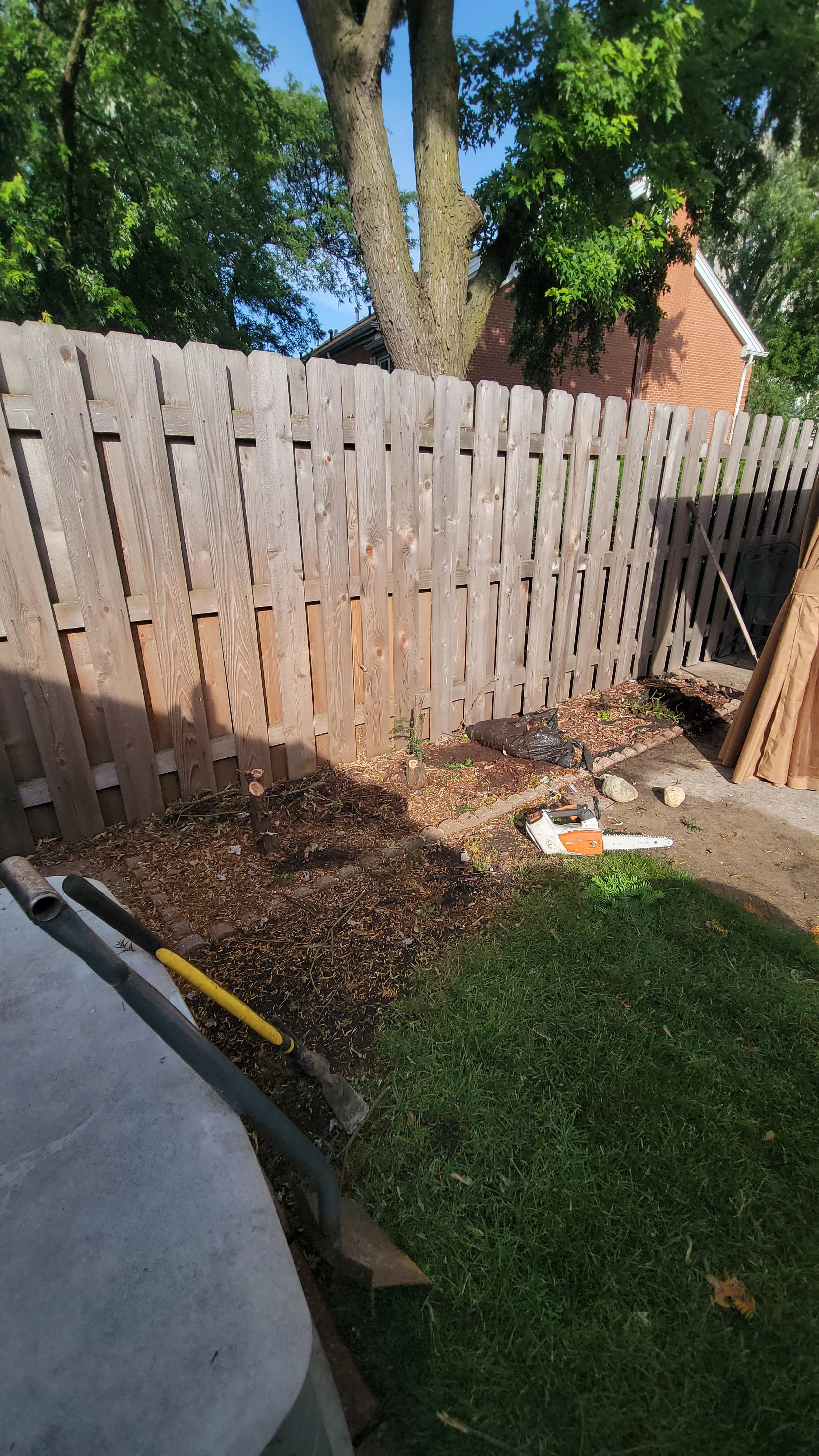 Backyard scene with a wooden fence, a large tree, and gardening tools including a shovel and a chainsaw. There is a patch of dirt and some small plants near the fence, and a brick house partially visible in the background.