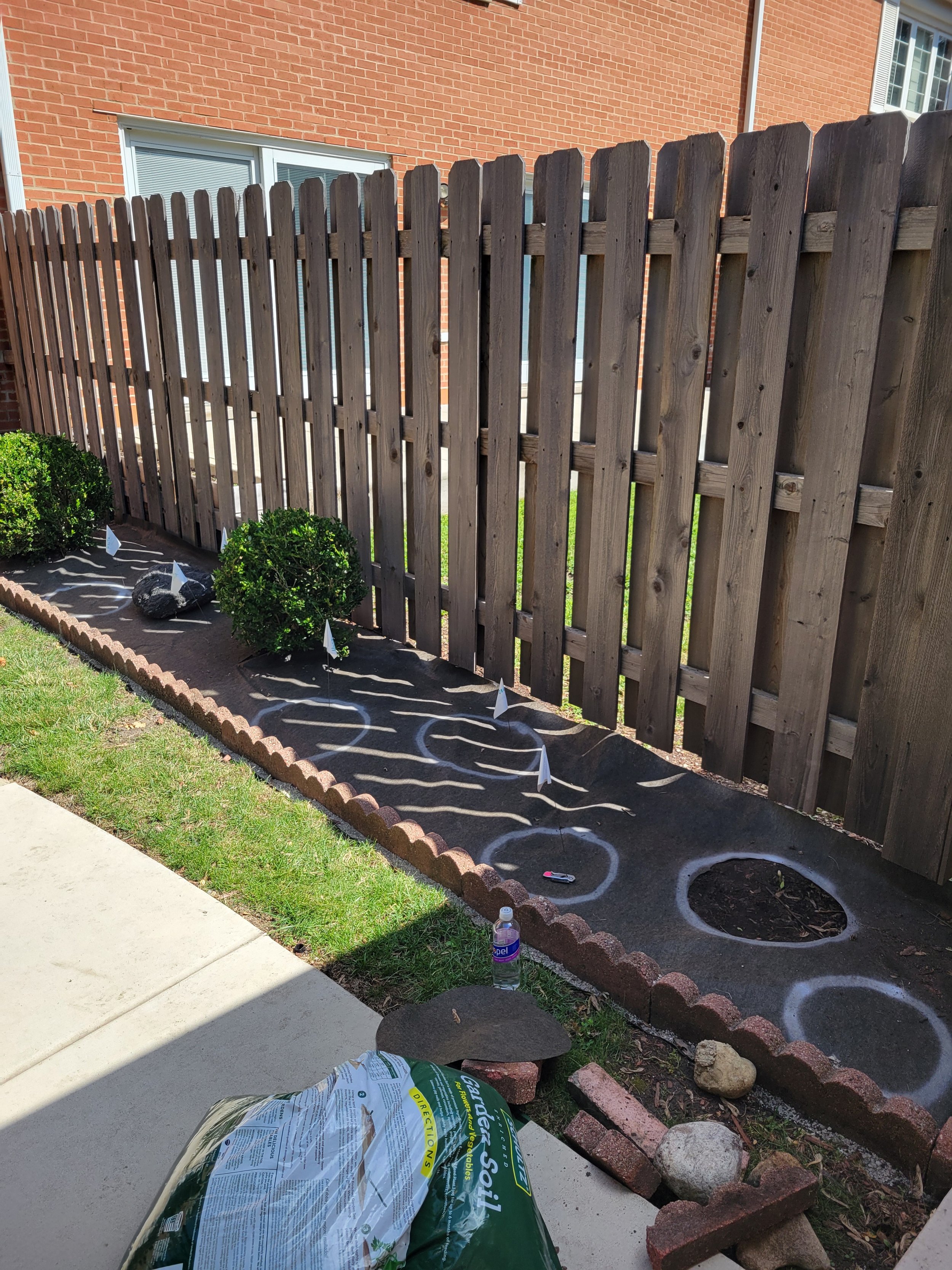 A backyard with a flower bed along a wooden fence, marked with chalk circles and flags, with a small bush, a water bottle, and gardening supplies nearby.