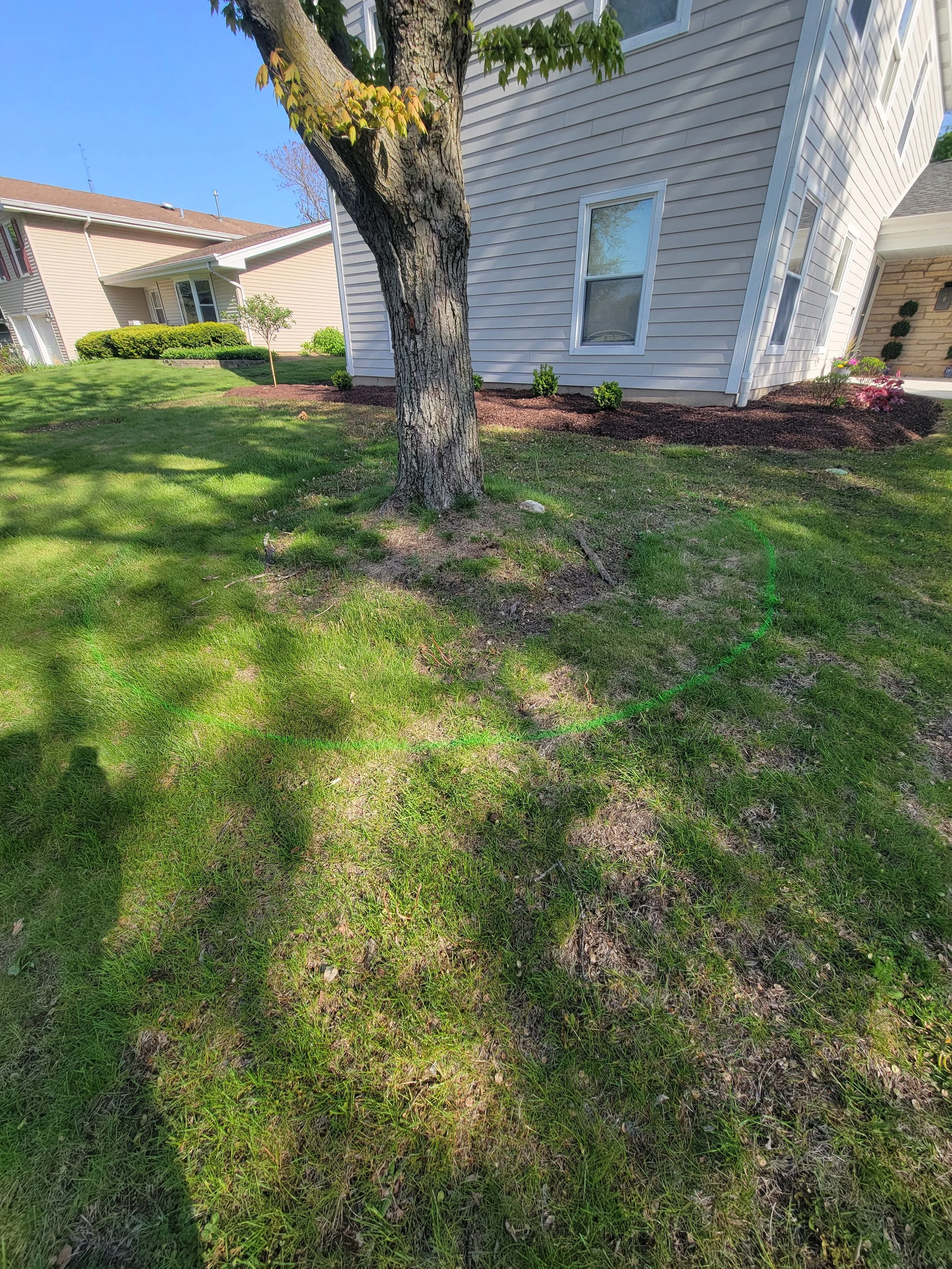 A residential yard with a tree, green grass, and a house with white siding. Shadows of a person and a camera are cast on the ground