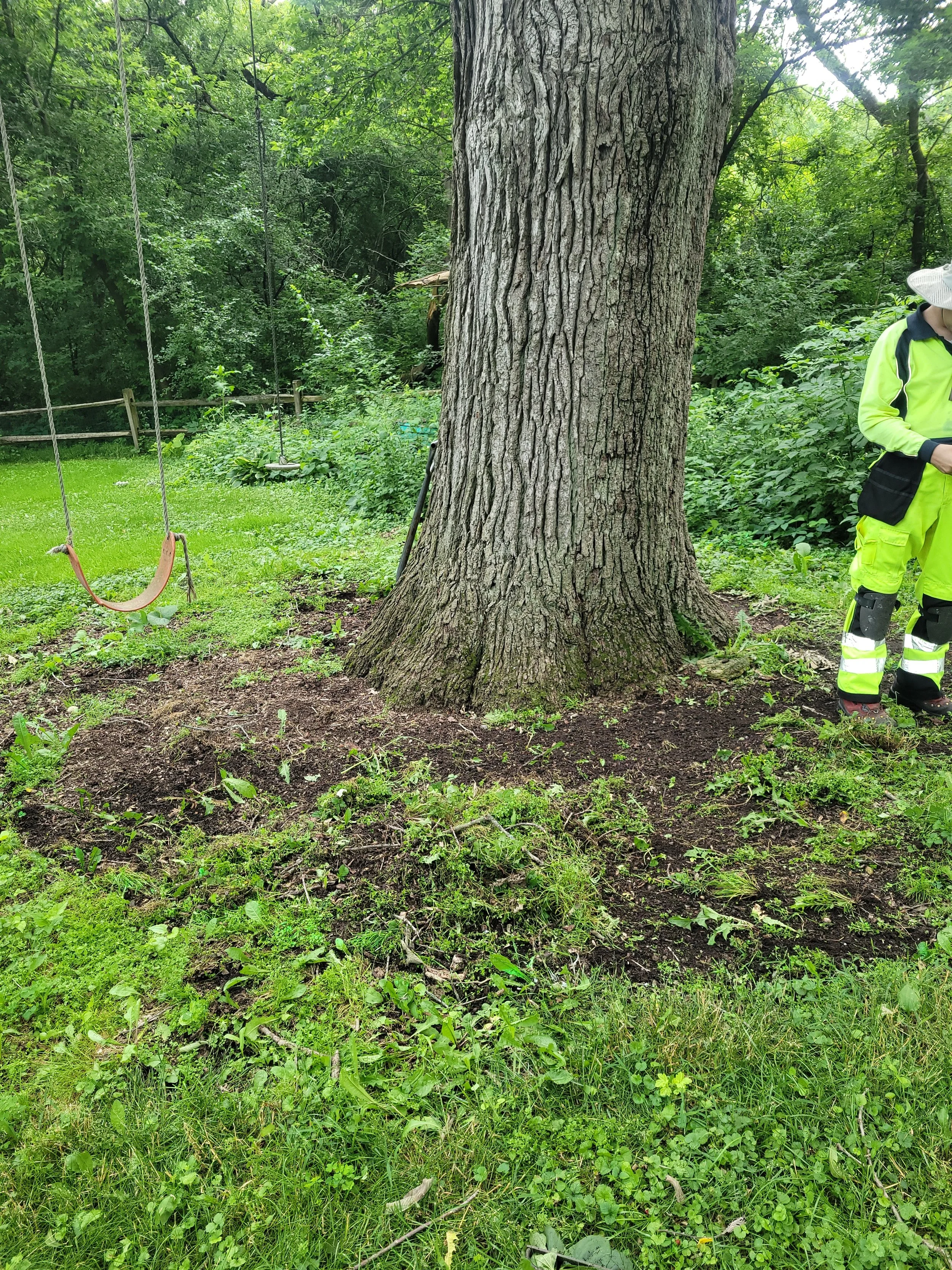 A large tree in a grassy backyard with a wooden swing hanging from a rope, and a person in a high-visibility yellow-green jacket and pants, with a wide-brimmed hat, standing to the right of the tree.