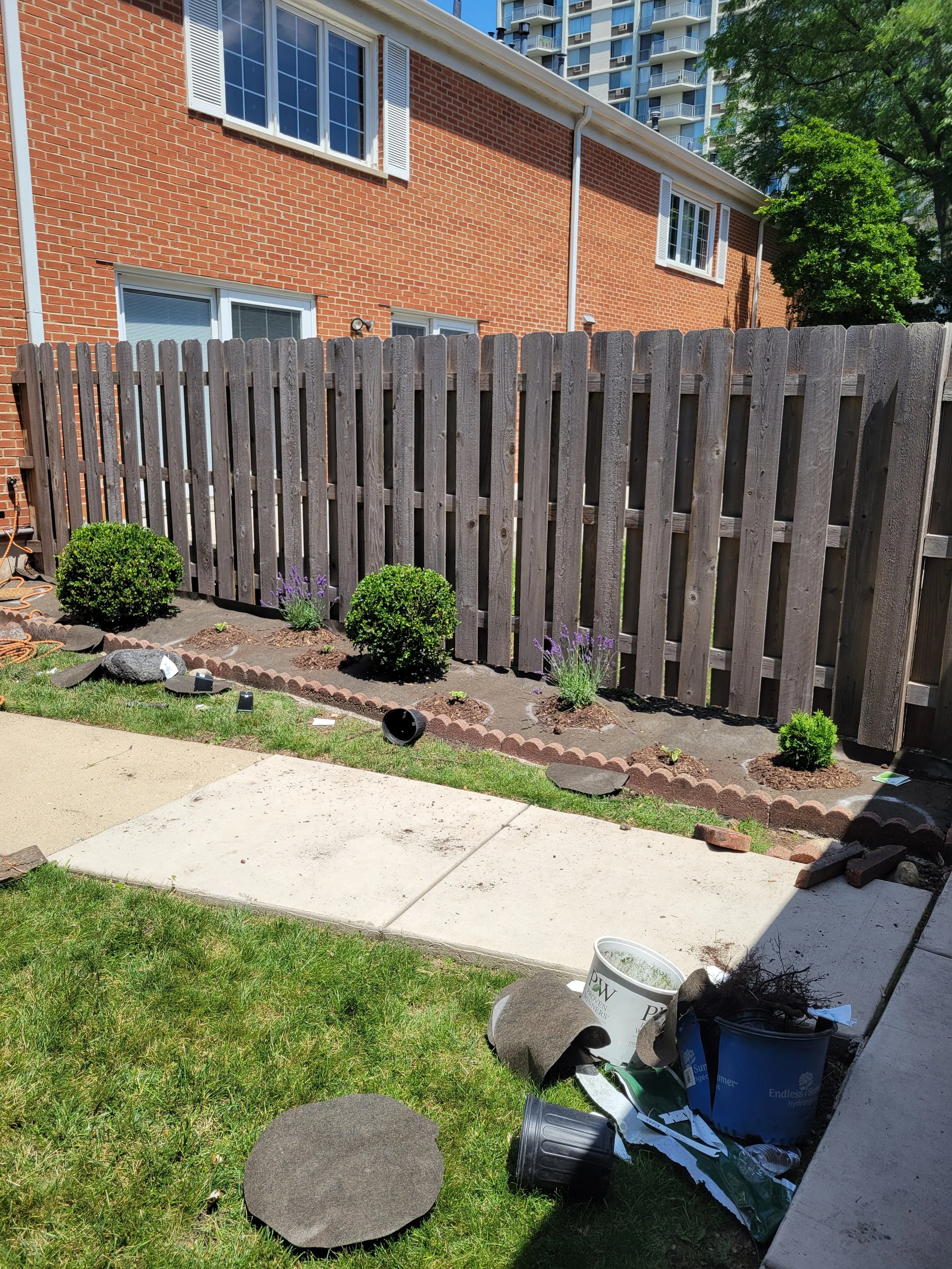 A backyard with a wooden fence, small bushes, and a flowerbed with purple flowers. There are some gardening tools and supplies on the lawn, including a bucket, a plant tray, and some leftover tiles.