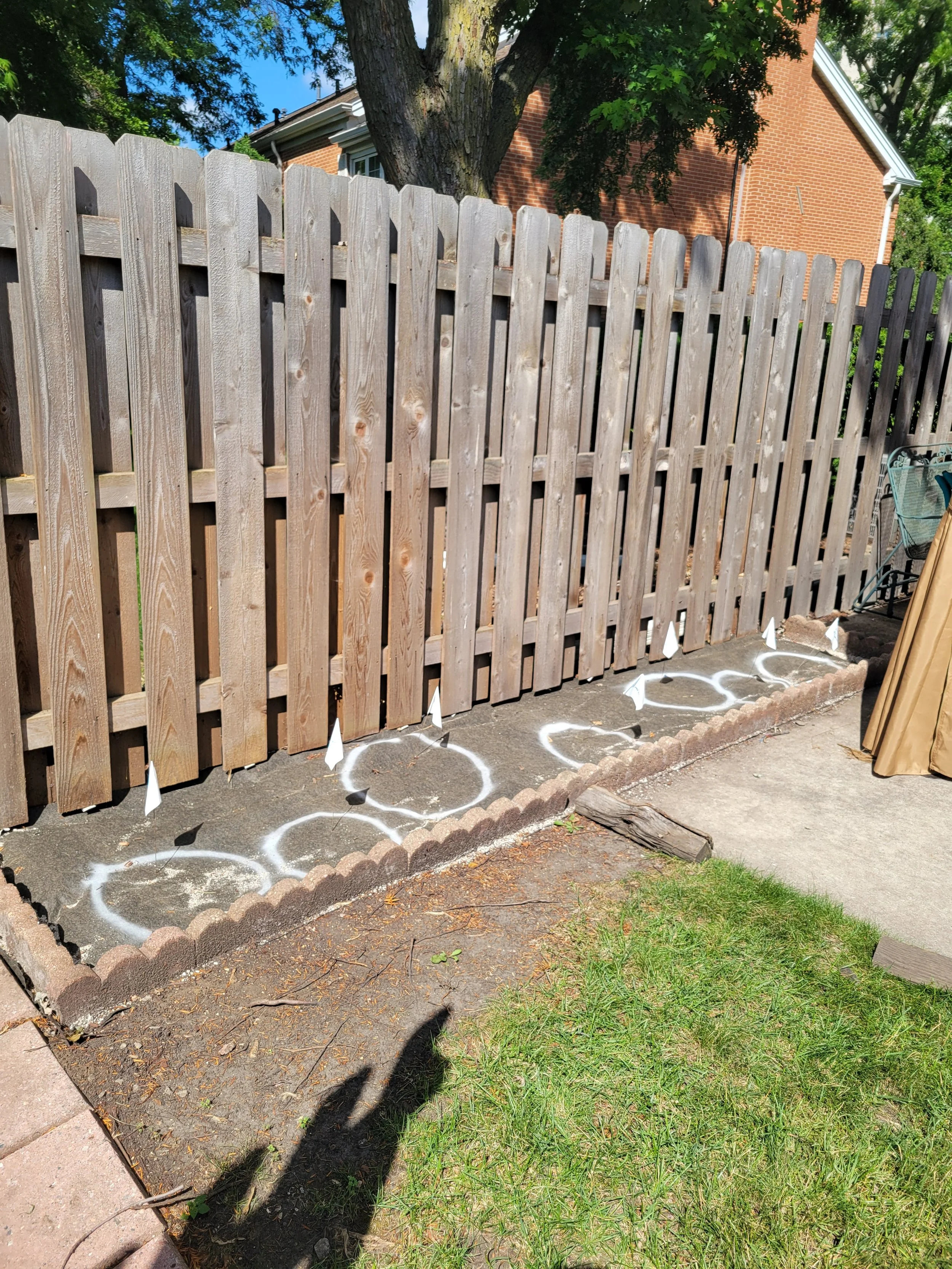 A wooden fence enclosing a garden bed with a row of white spray-painted circles and small flags. There is a nail and a piece of wood on the ground near the garden bed. The yard includes grass, and there is a house with a brick wall and a tree in the 