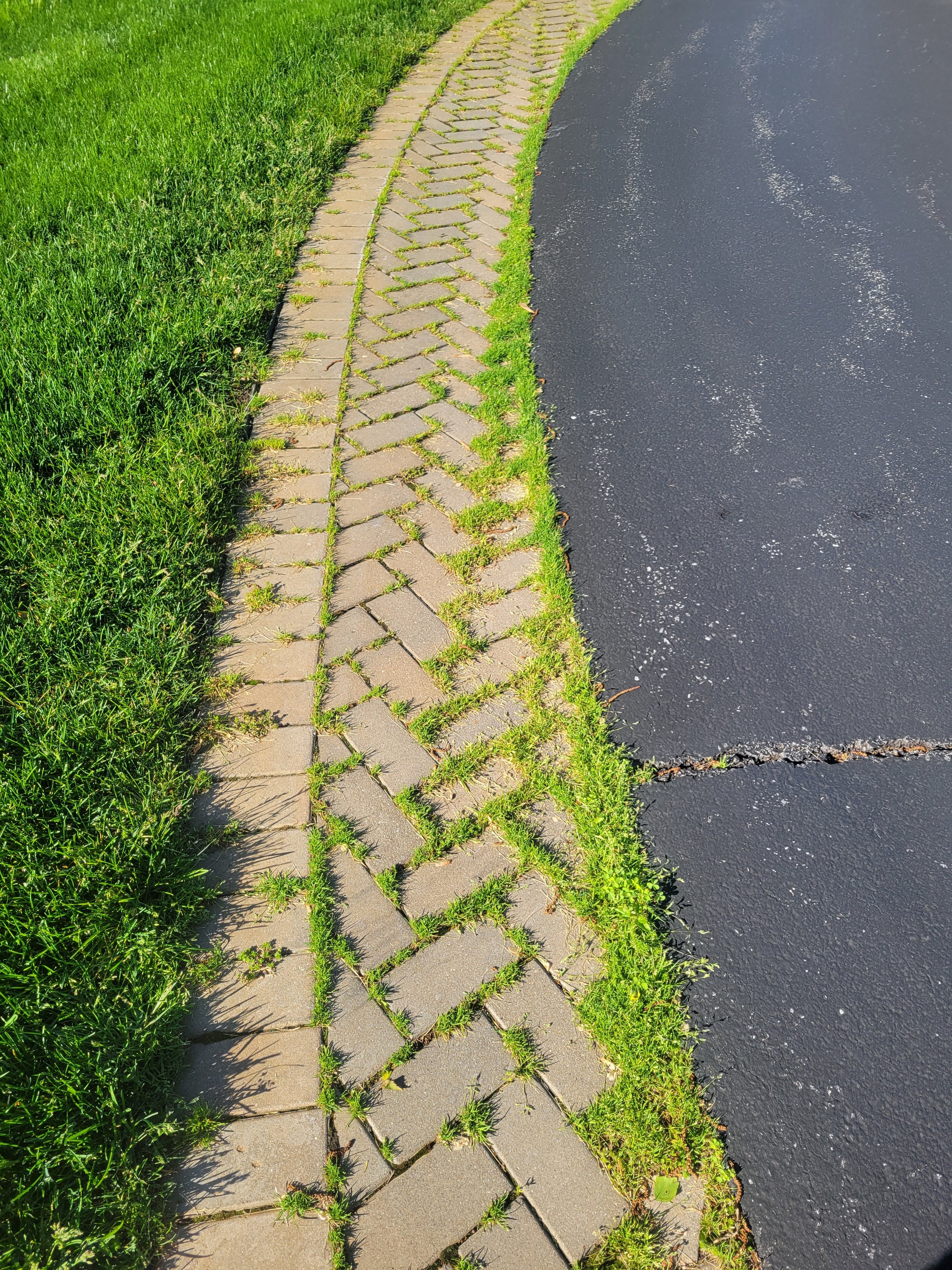 A sidewalk with interlocking bricks, some grass growing between them, next to a blacktop road, with green grass on the left.