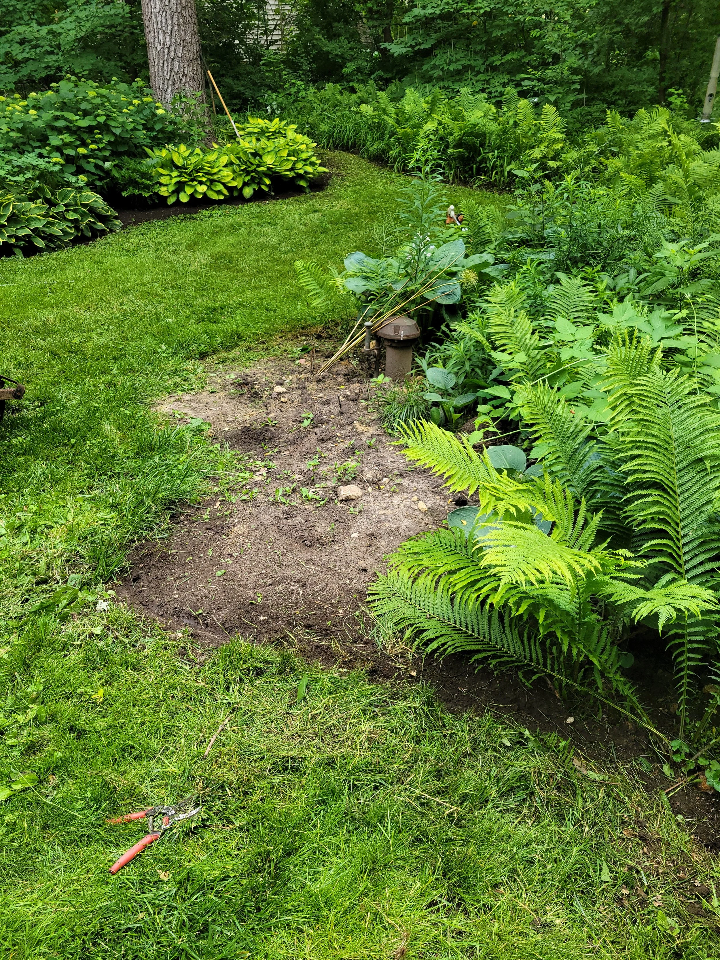 A garden with a patch of dirt being prepared for planting, surrounded by lush green plants, bushes, and trees.