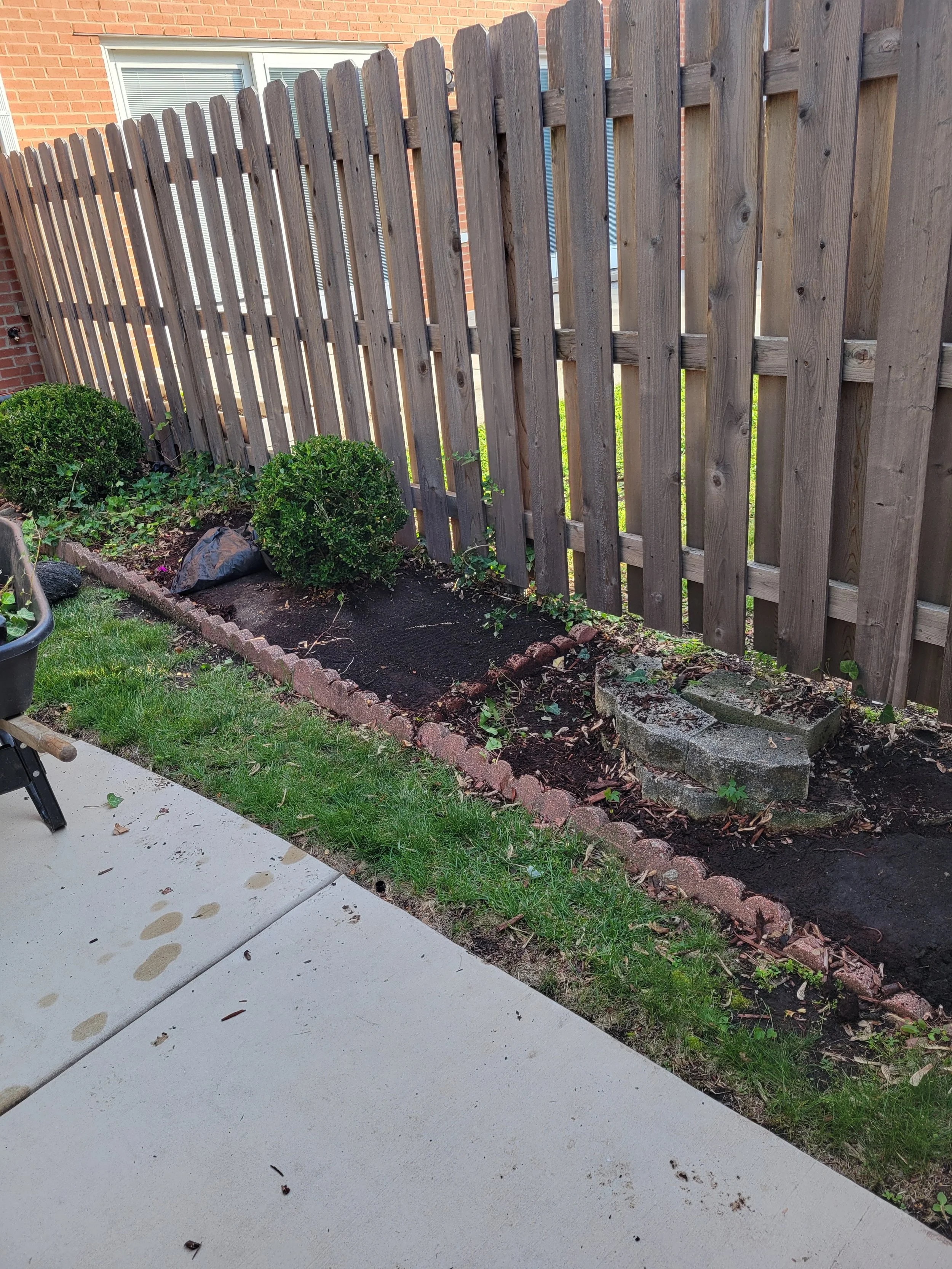 A backyard garden with a wooden fence, two trimmed bushes, and a newly tilled flower bed with small plants. There are a few bricks and stones on the ground, and a concrete patio with some wet spots.