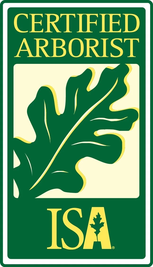 A green and yellow logo with the words 'Certified Arborist' at the top, a large green leaf in the center, and the letters 'ISA' at the bottom, with a small abstract leaf shape inside the letter 'A'.