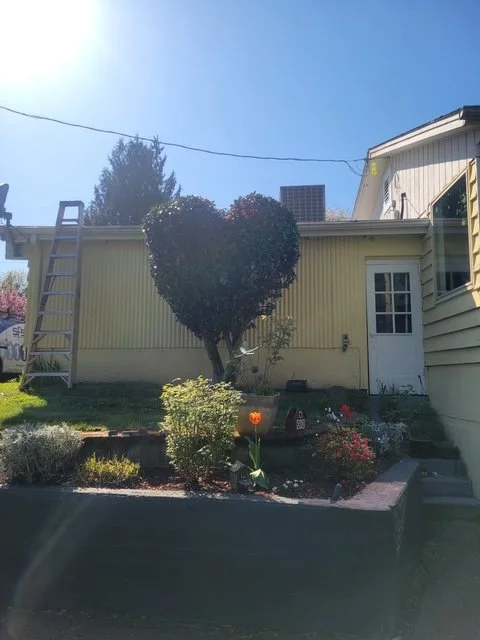 Heart Bush.jpg