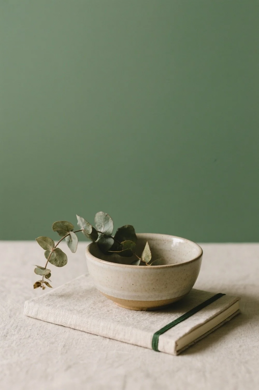 A ceramic bowl with a branch of eucalyptus leaves, resting on a closed notebook wrapped with a green elastic band, on a light fabric surface against a muted green background.
