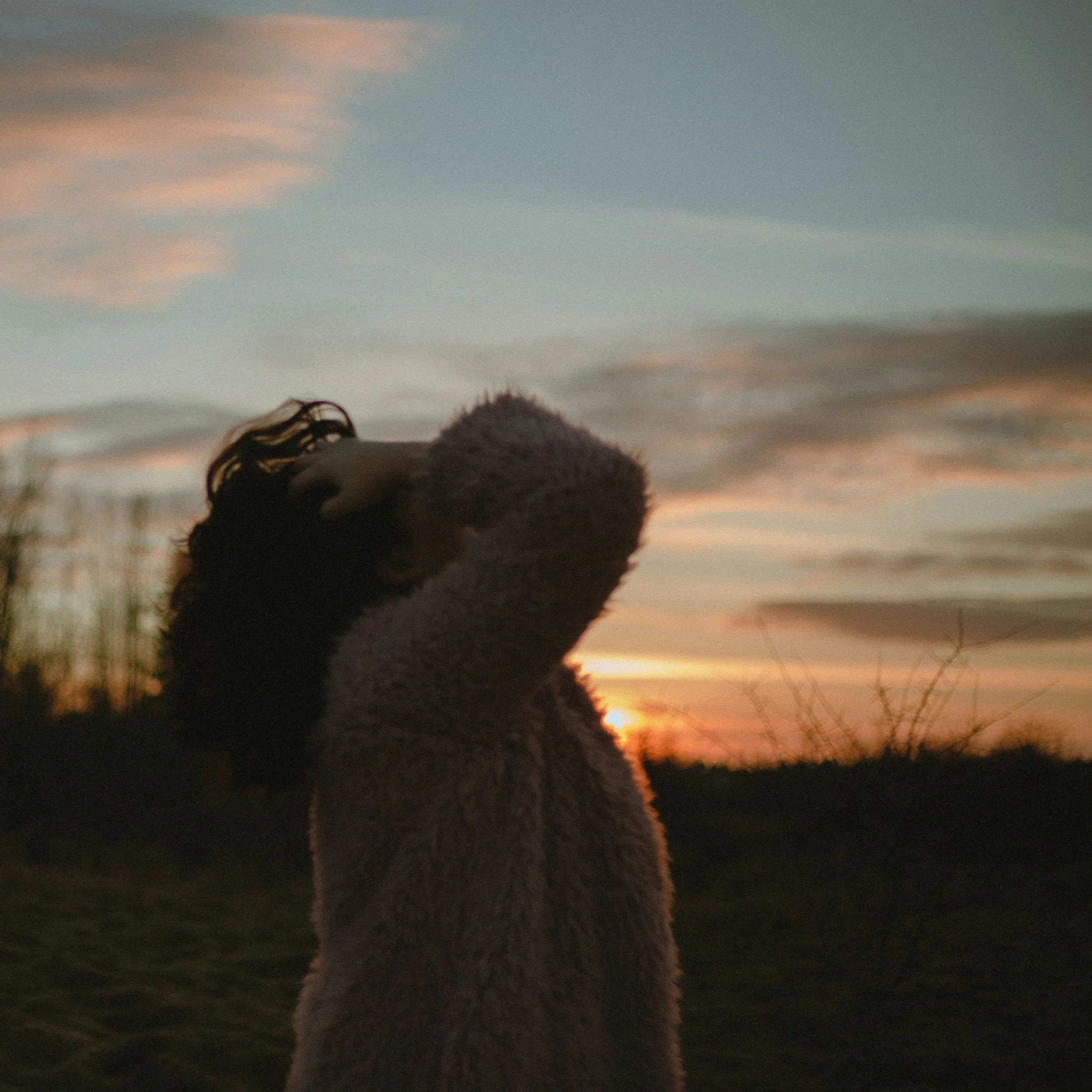 A duckling and a chick standing close together during sunset.