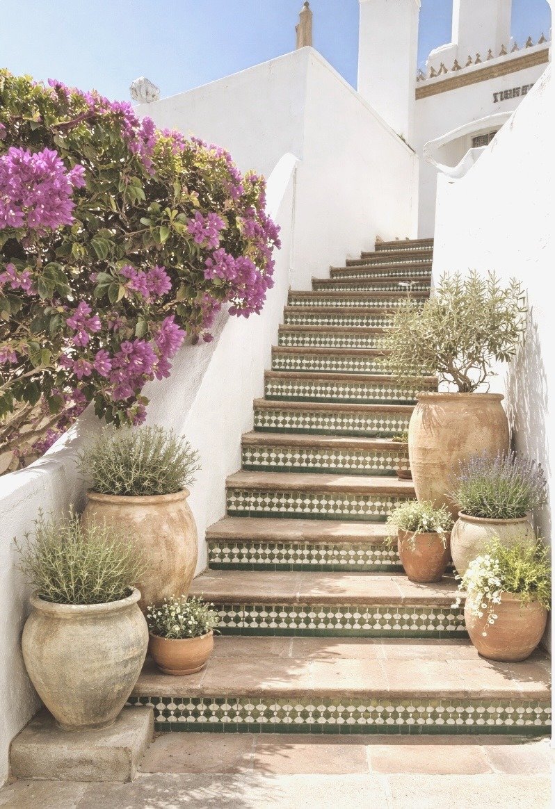 White outdoor staircase with green and white patterned tiles, surrounded by potted plants and purple flowers, leading to a building with white walls under a clear blue sky.