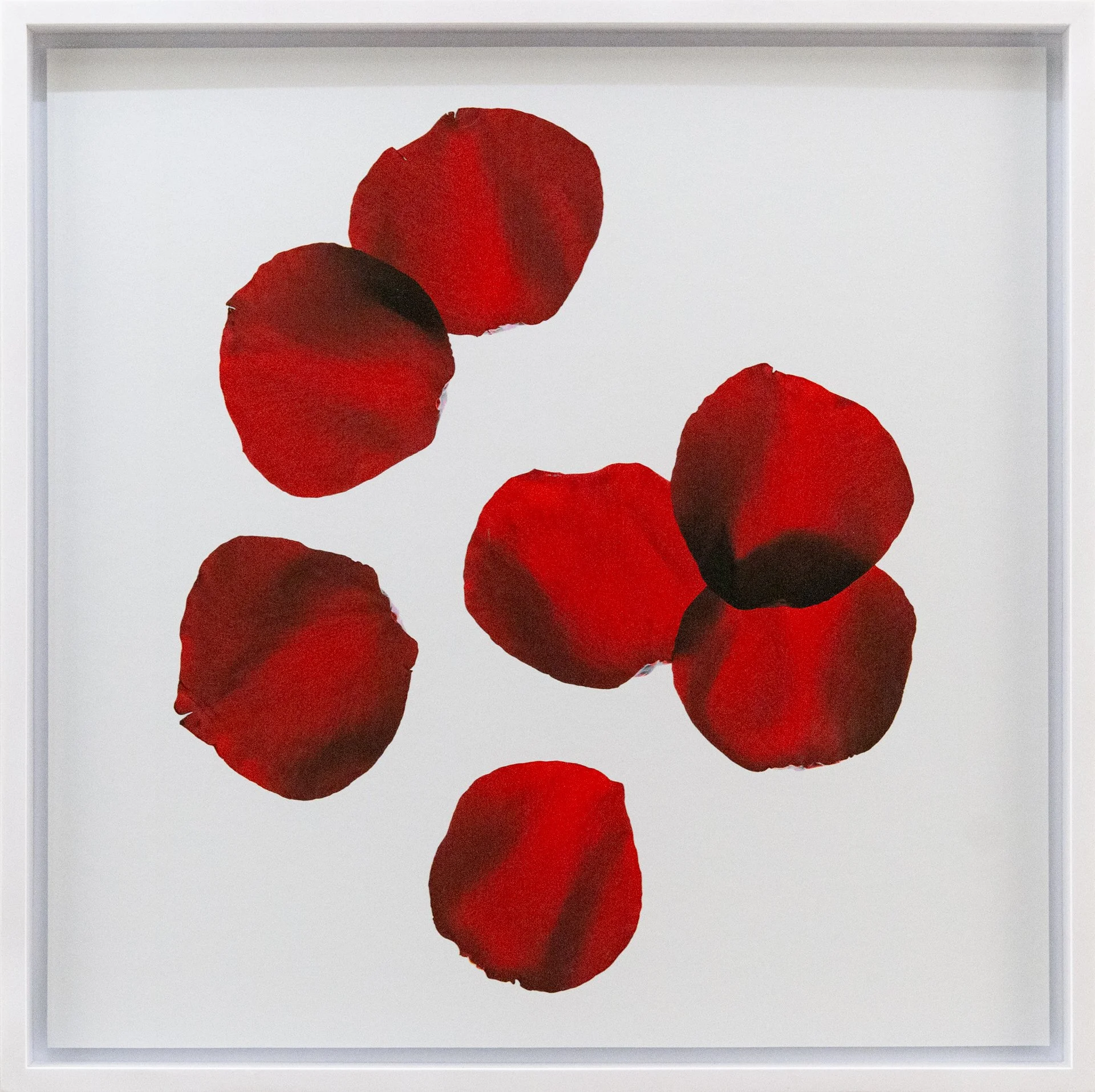 Erwin Canlas,'It Will Never Wither in Red', 2024