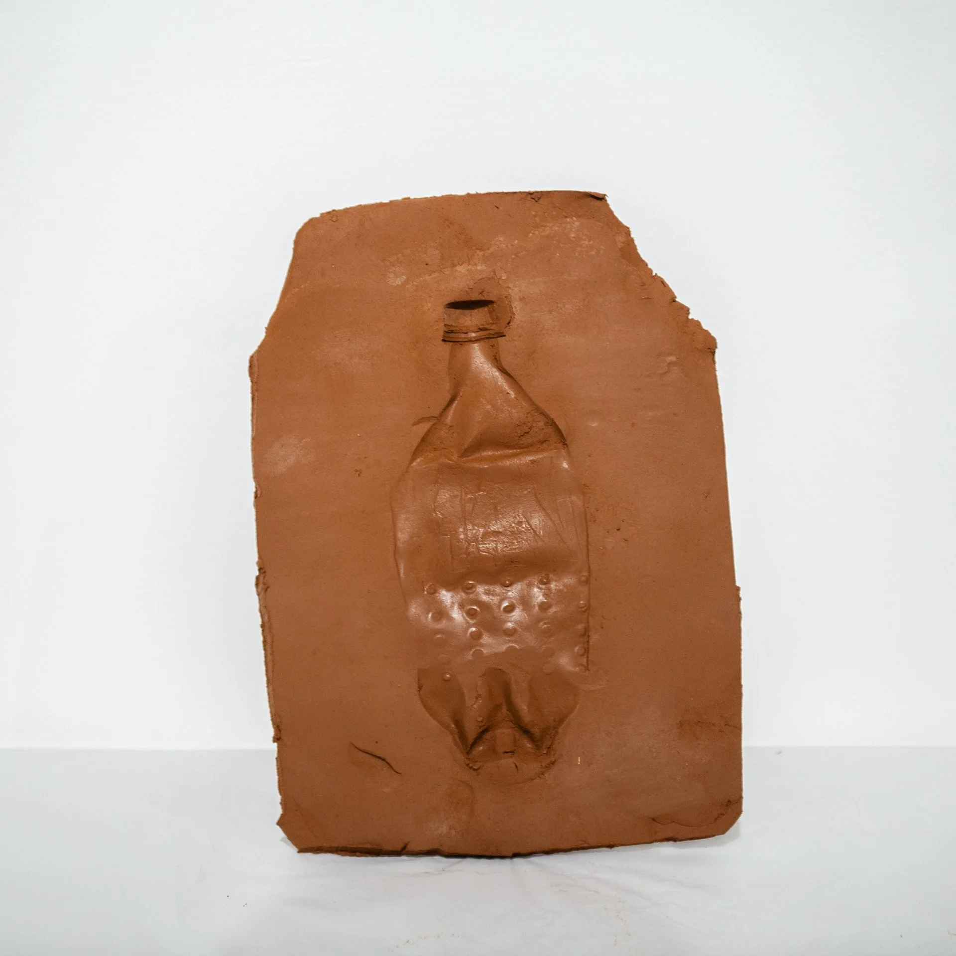 Ronyel Compra,'unearthed persistence I (mimosa/makahiya series)', 2025-2026