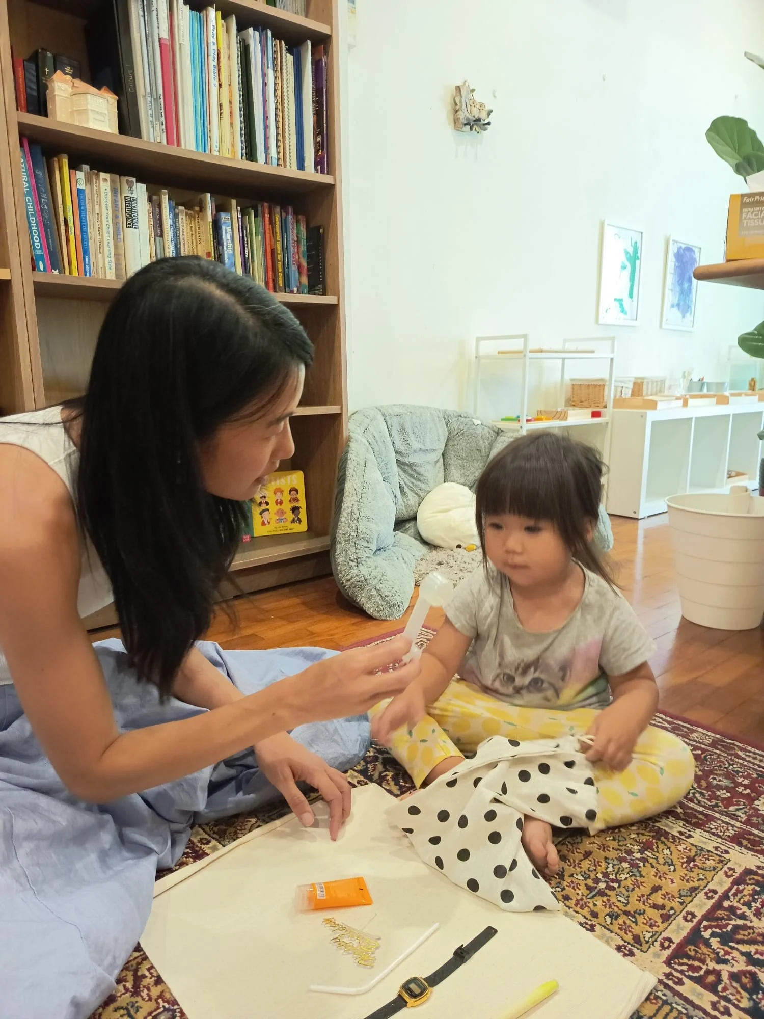 Showing Penny stereo bags.jpeg