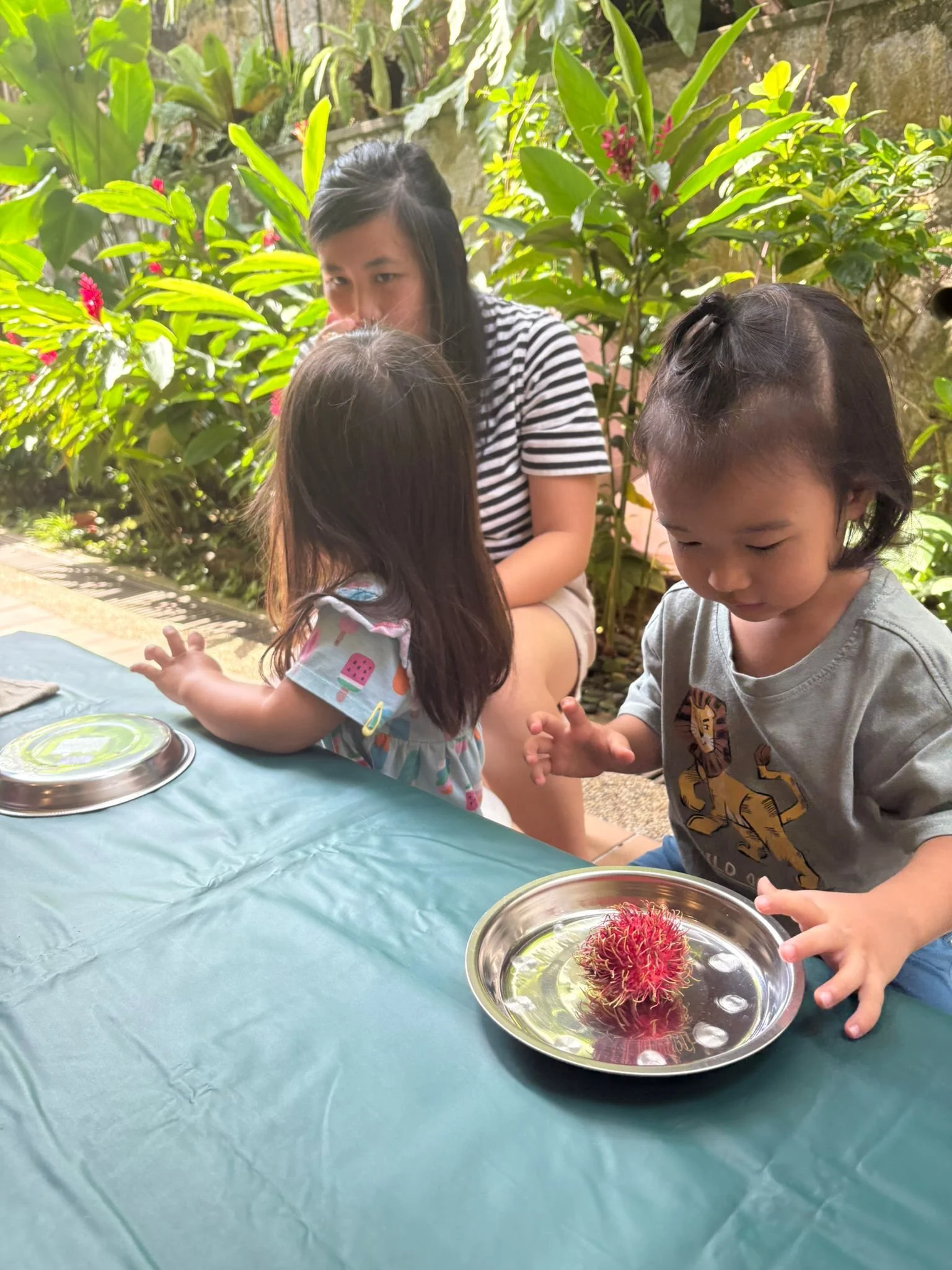 WhatsApp Image 2026-02-04 at 09.28.48.jpeg