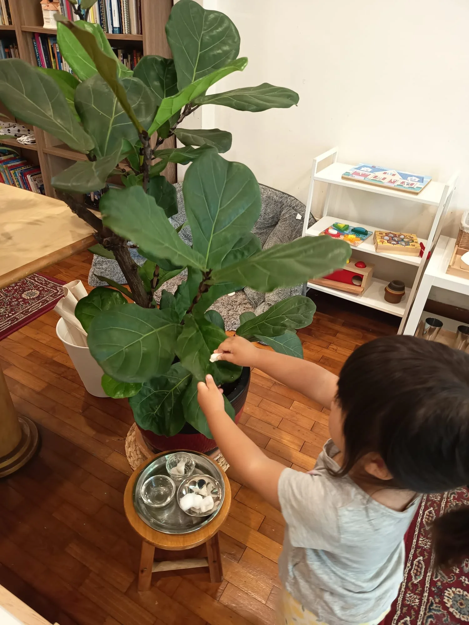 Penny plant polishing.jpeg