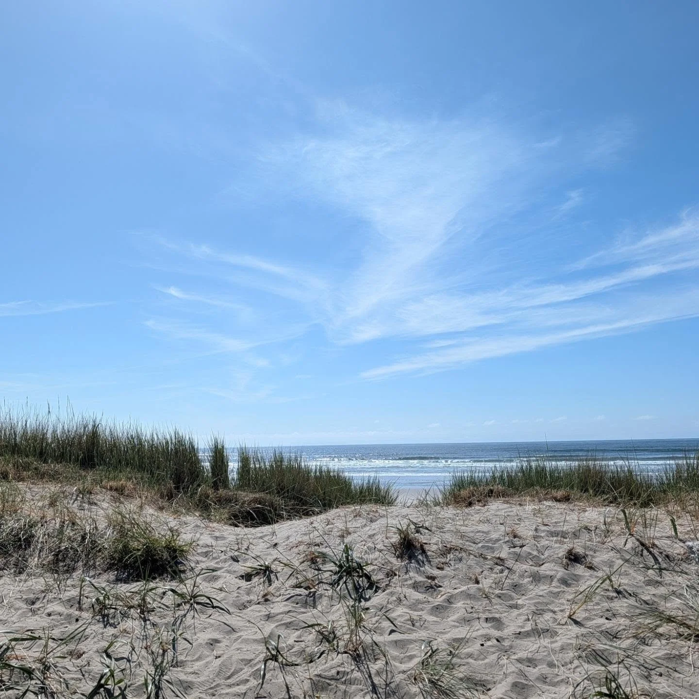 Every candle starts with a day at the beach, a beautiful hike, a perfect sunset, or a bayside walk with my pup.

It's not just a candle, it's an experience. I take my time to truly capture the essence of these moments so they can be shared. 

My hope