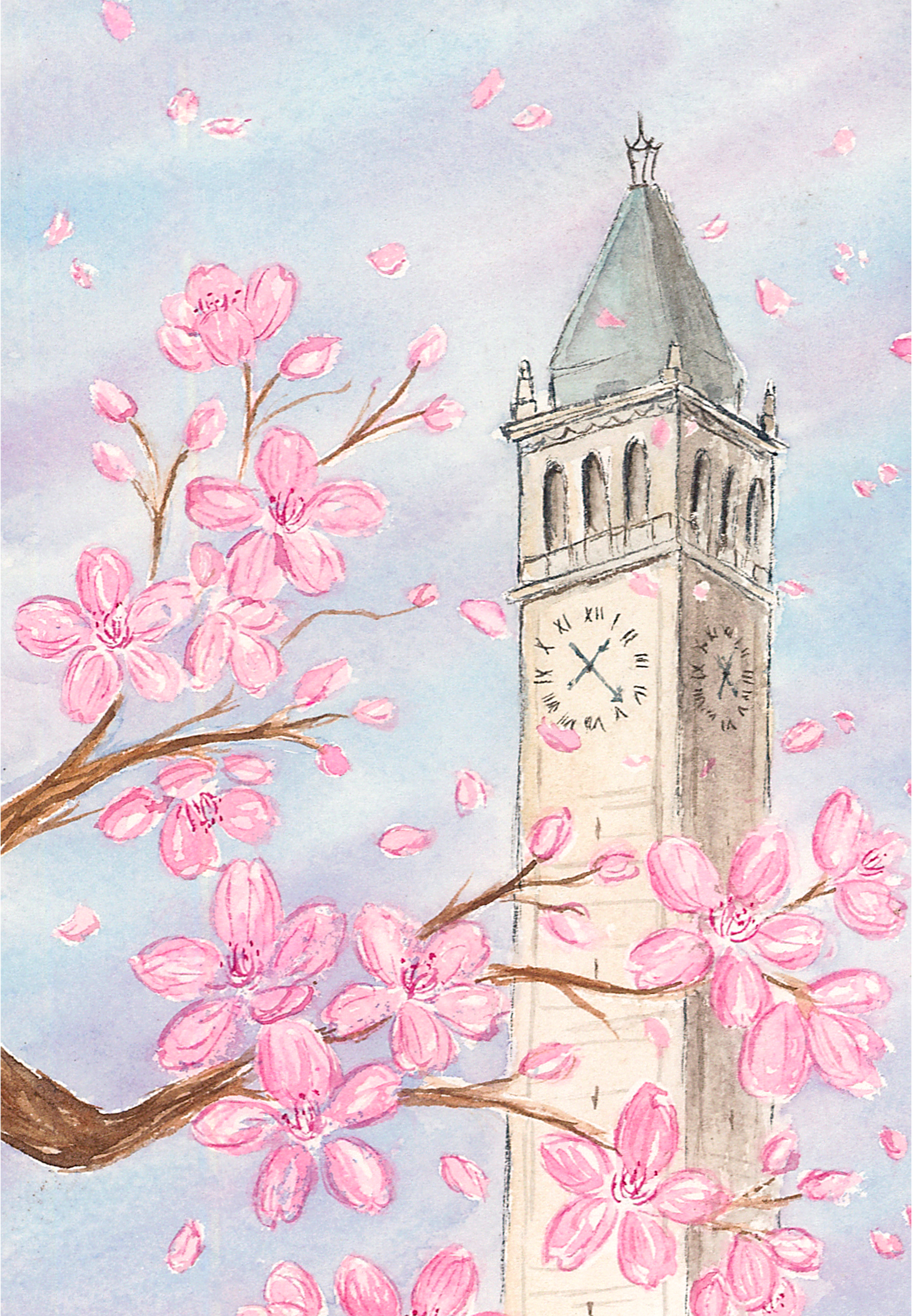 campanile_cherry_edit.png