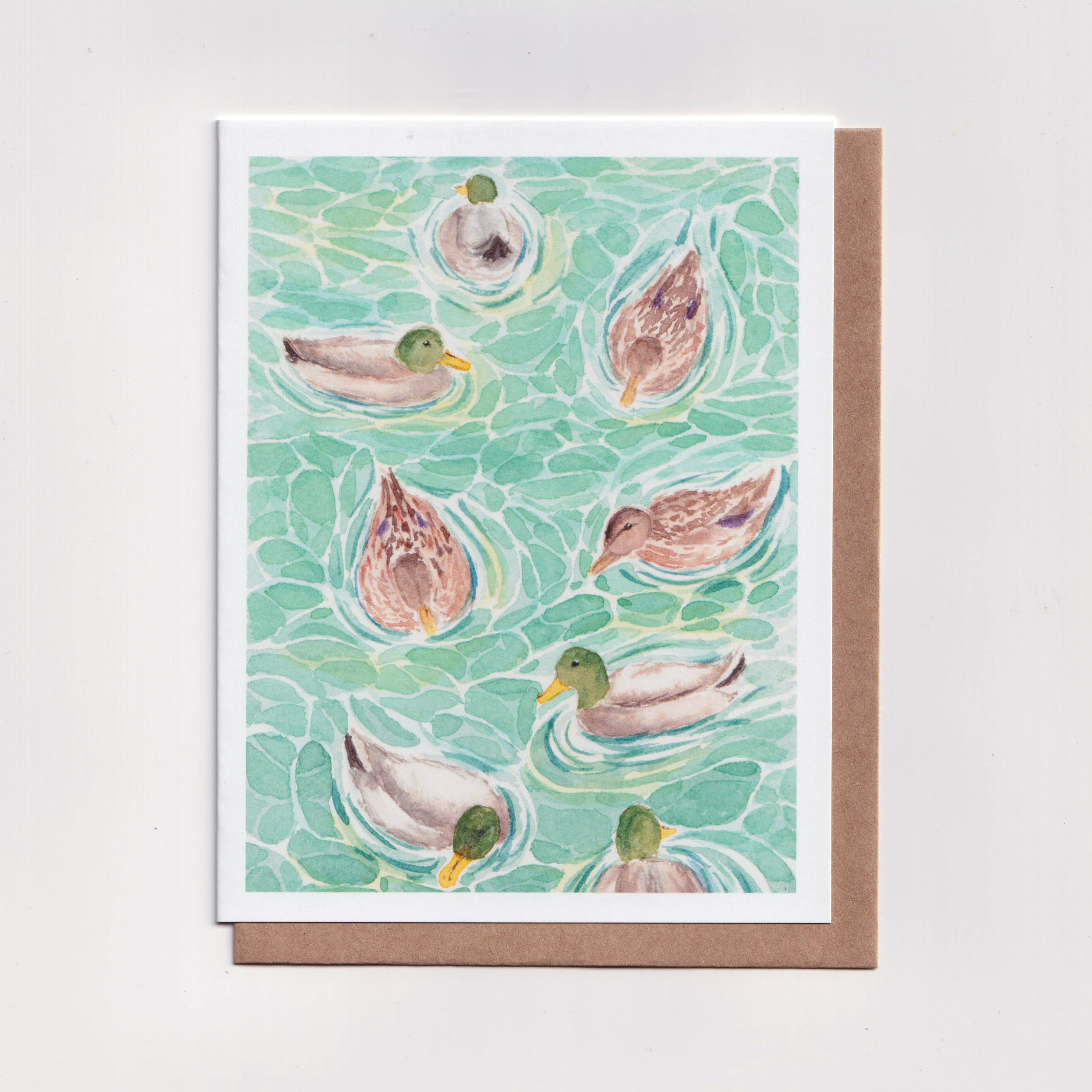 Ducks