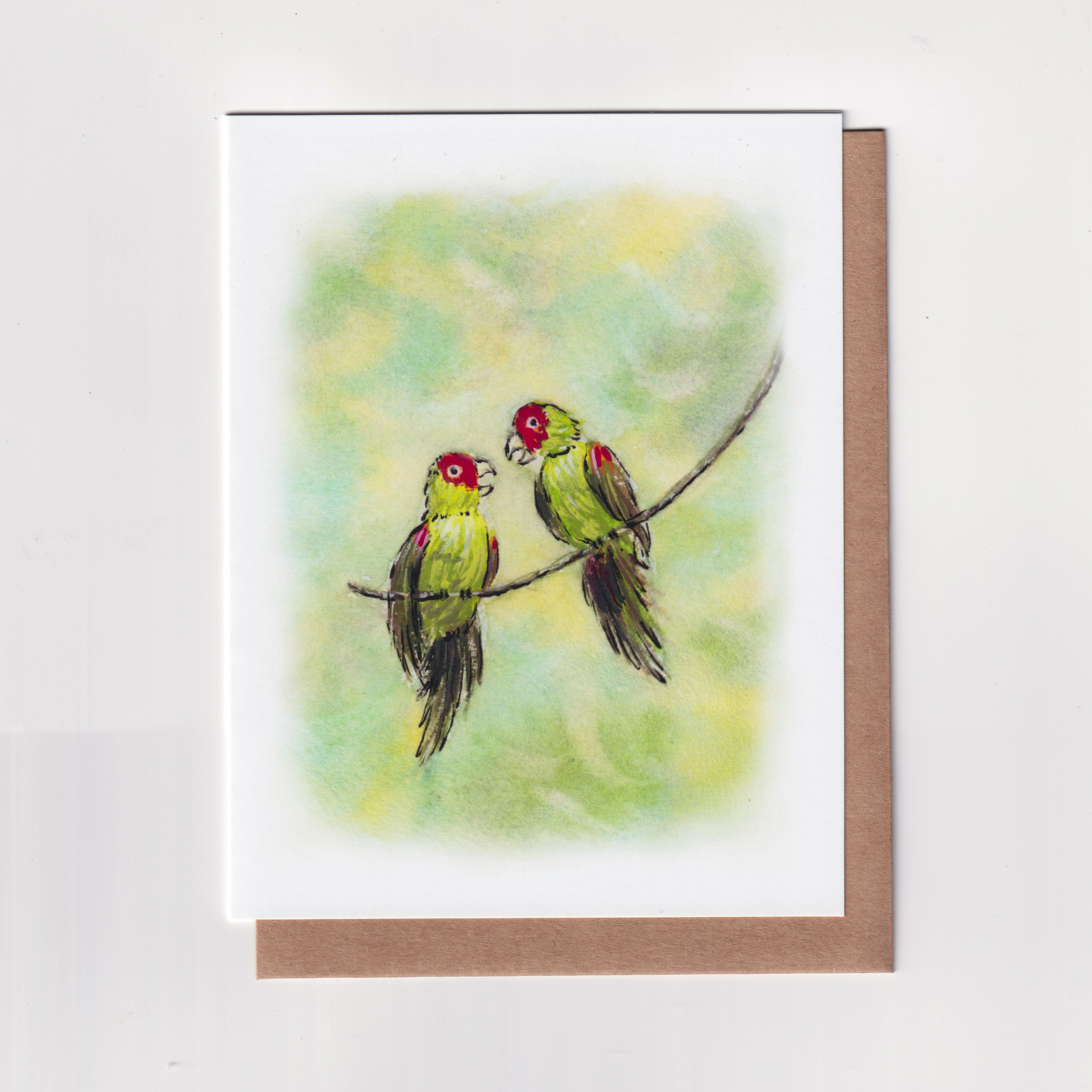 Parrots