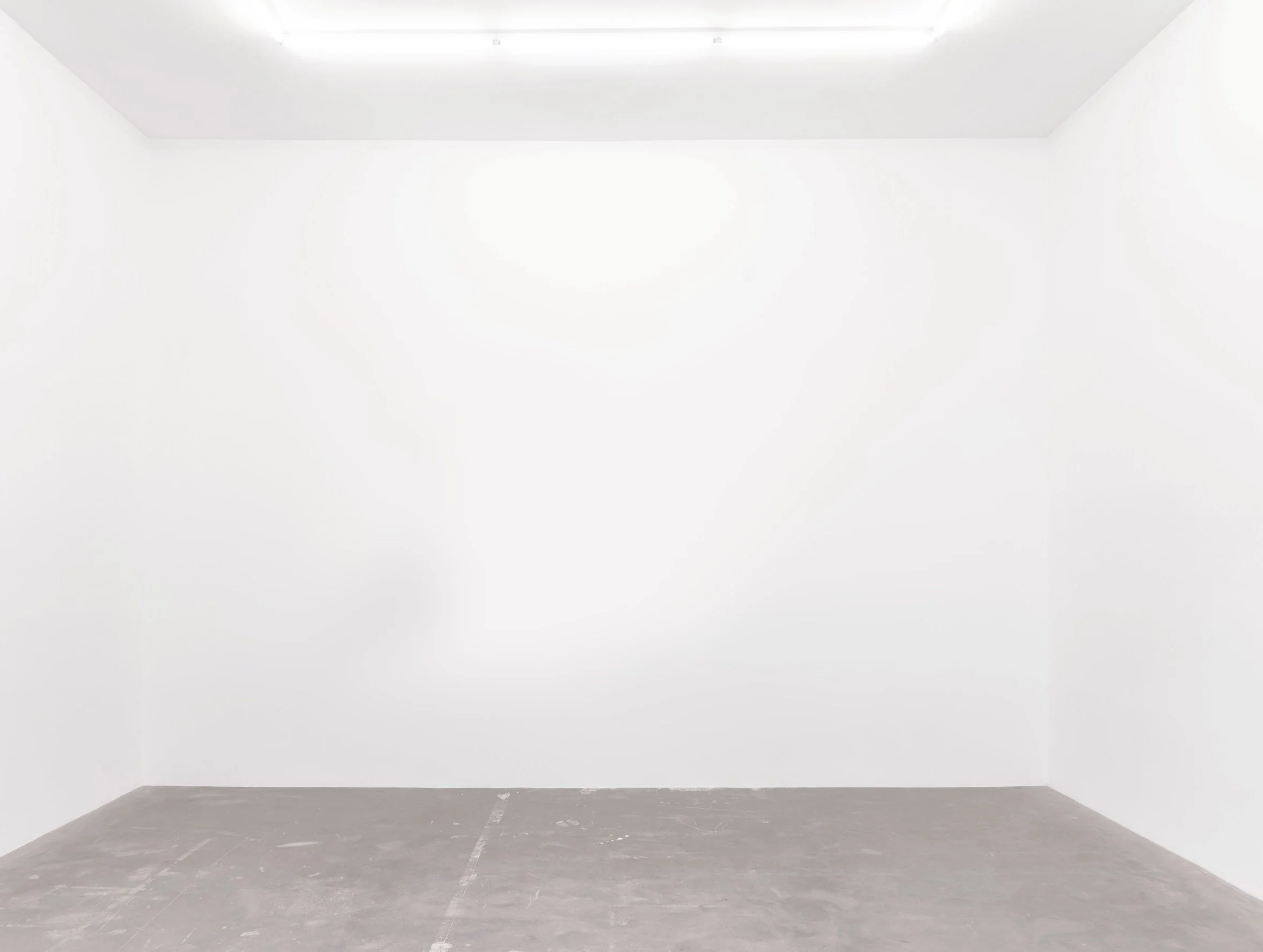 An empty white room with grey concrete floor and bright ceiling lighting.