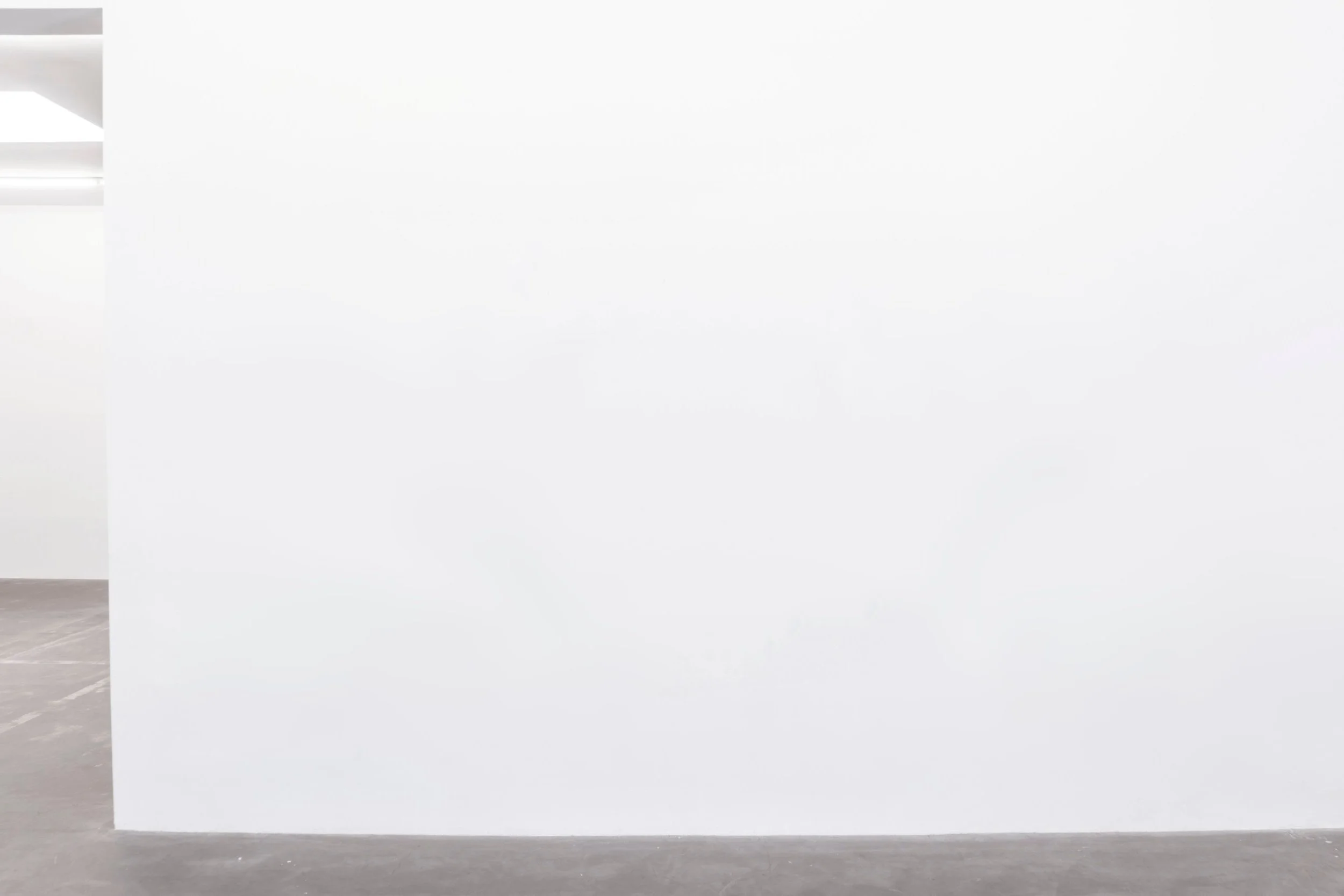 Empty white gallery wall in an art exhibition space.