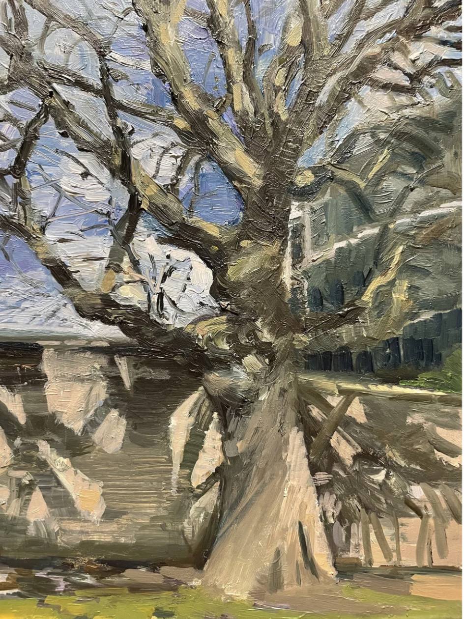 Tree, Parkgate Street Dublin, oil on aluminium, 9 x 12,  selected for the 141st RUA Royal Ulster Academy Annual Exhibition at the Ulster Museum Belfast 2022
