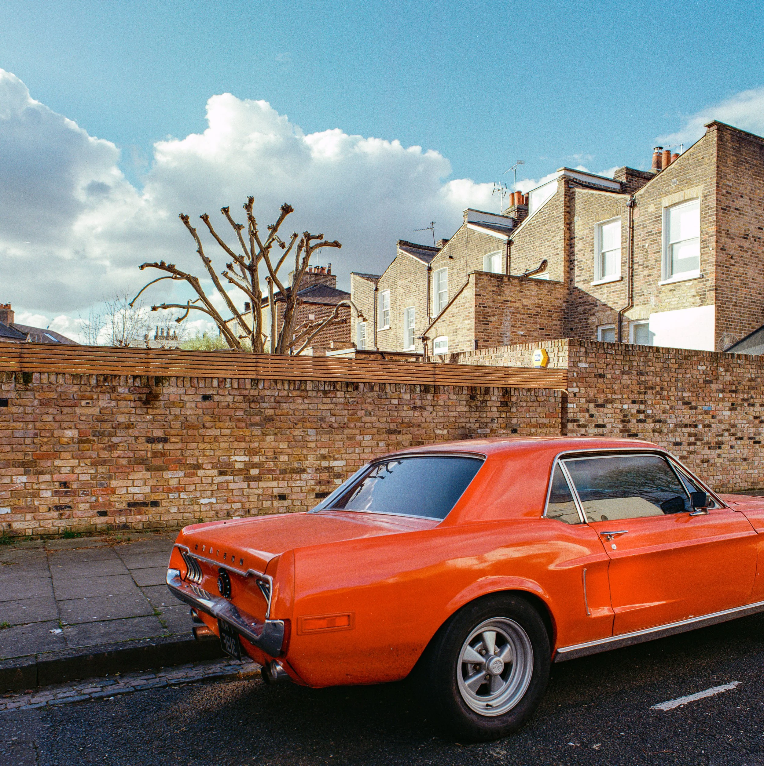 5300ppi_raw_ (10) copy.jpg