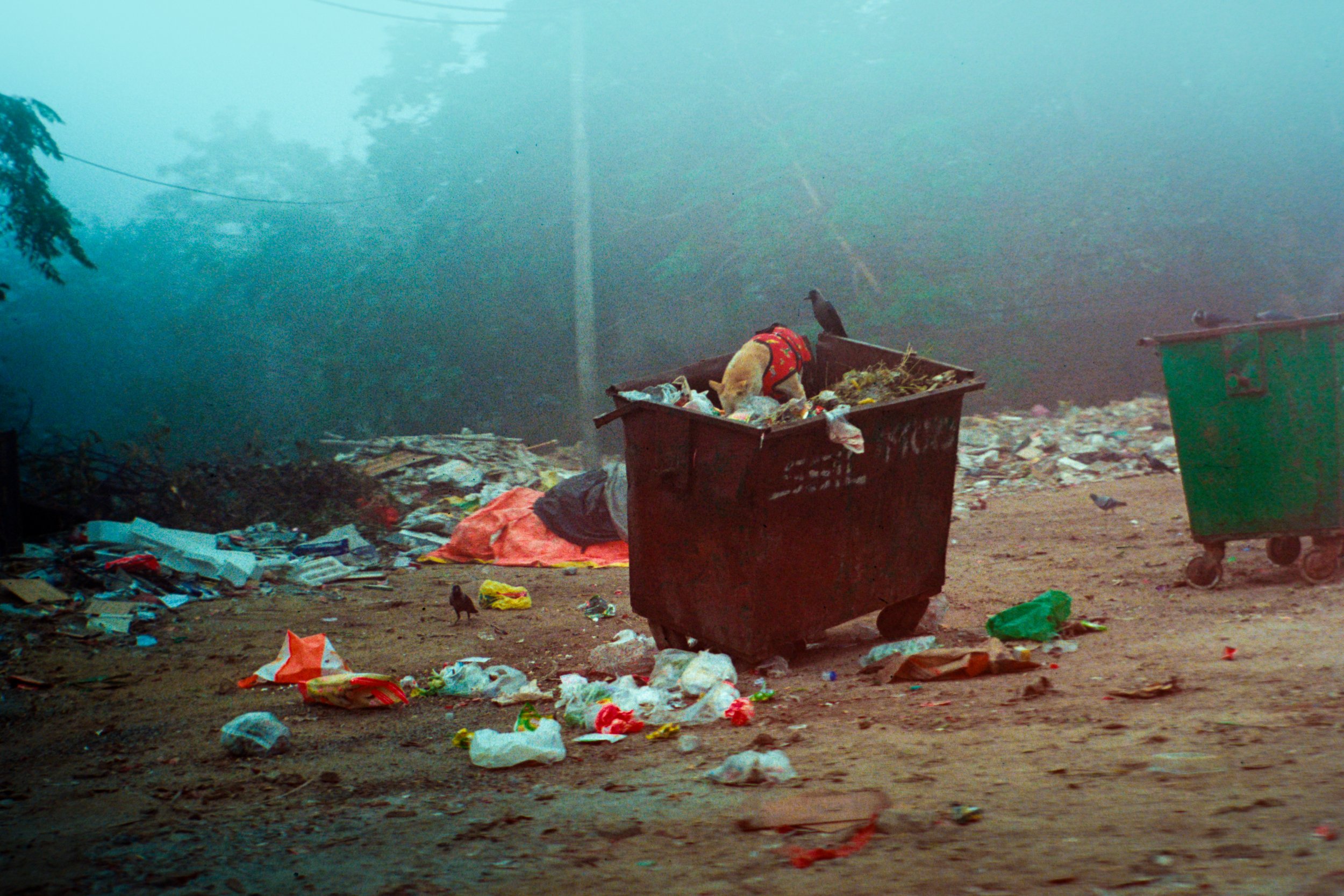 A street scene with overflowing trash bins and garbage scattered on the ground, in a foggy environment.