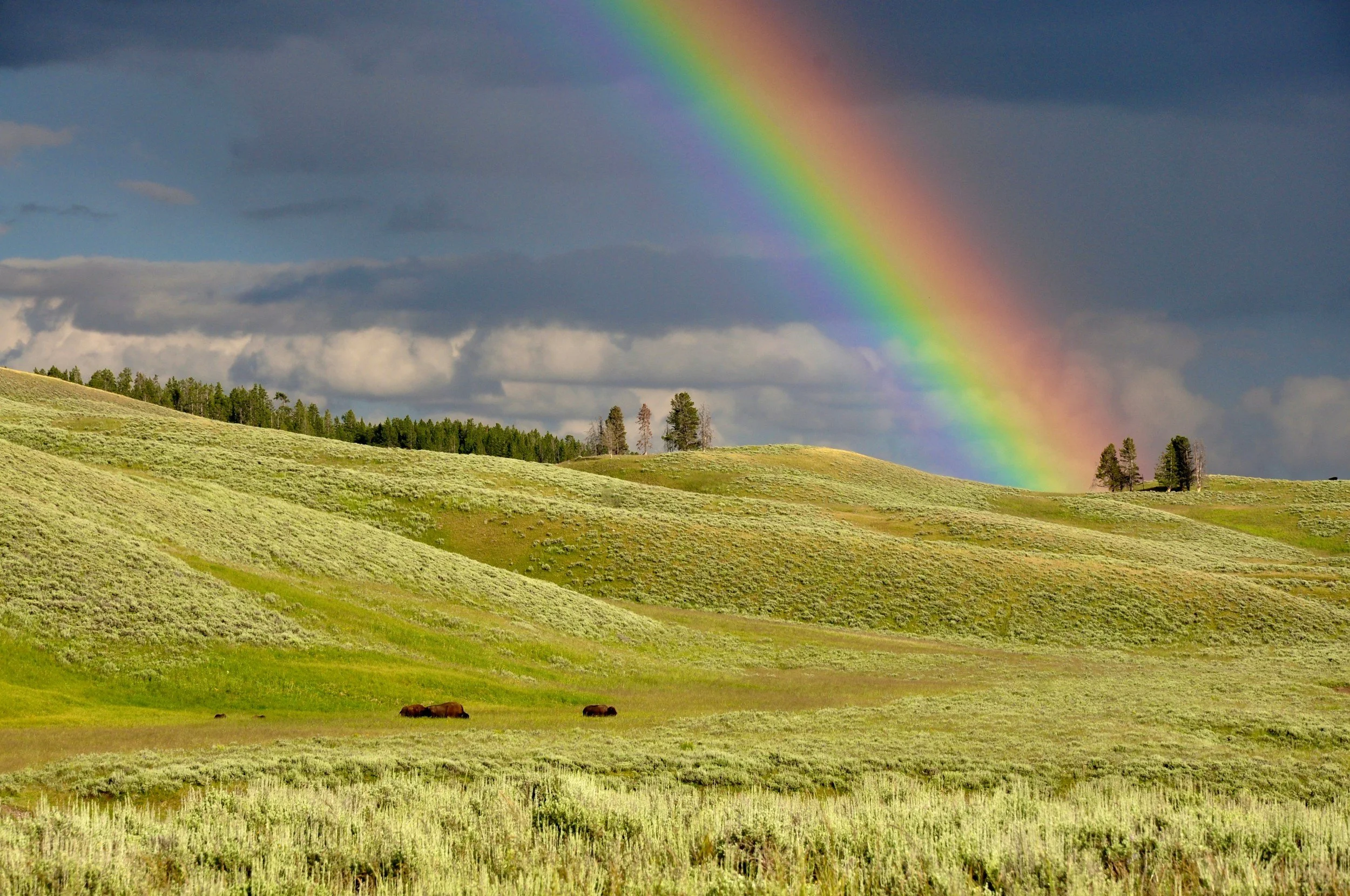 A landscape of rolling green hills with trees, a dark cloudy sky, and a vibrant rainbow arching across the sky.