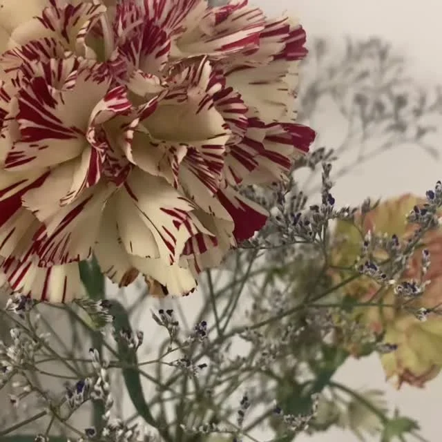 Entretien de cadrage (1h)