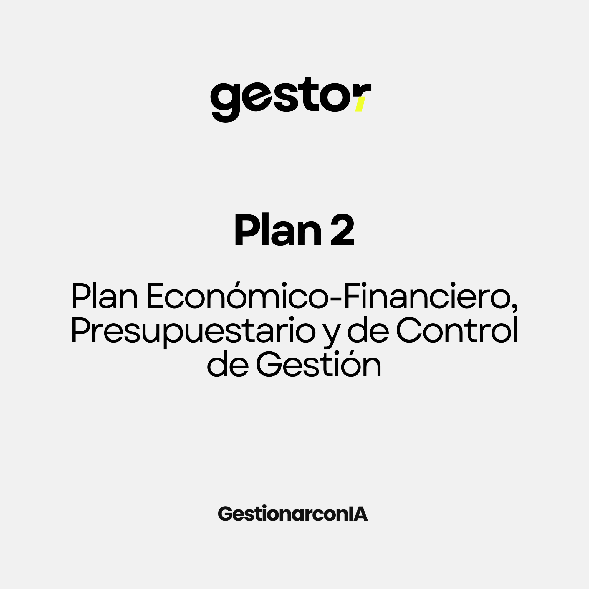 GESTOR DEL PLAN 2 : Plan Económico-Financiero, Presupuestario y de Control de Gestión