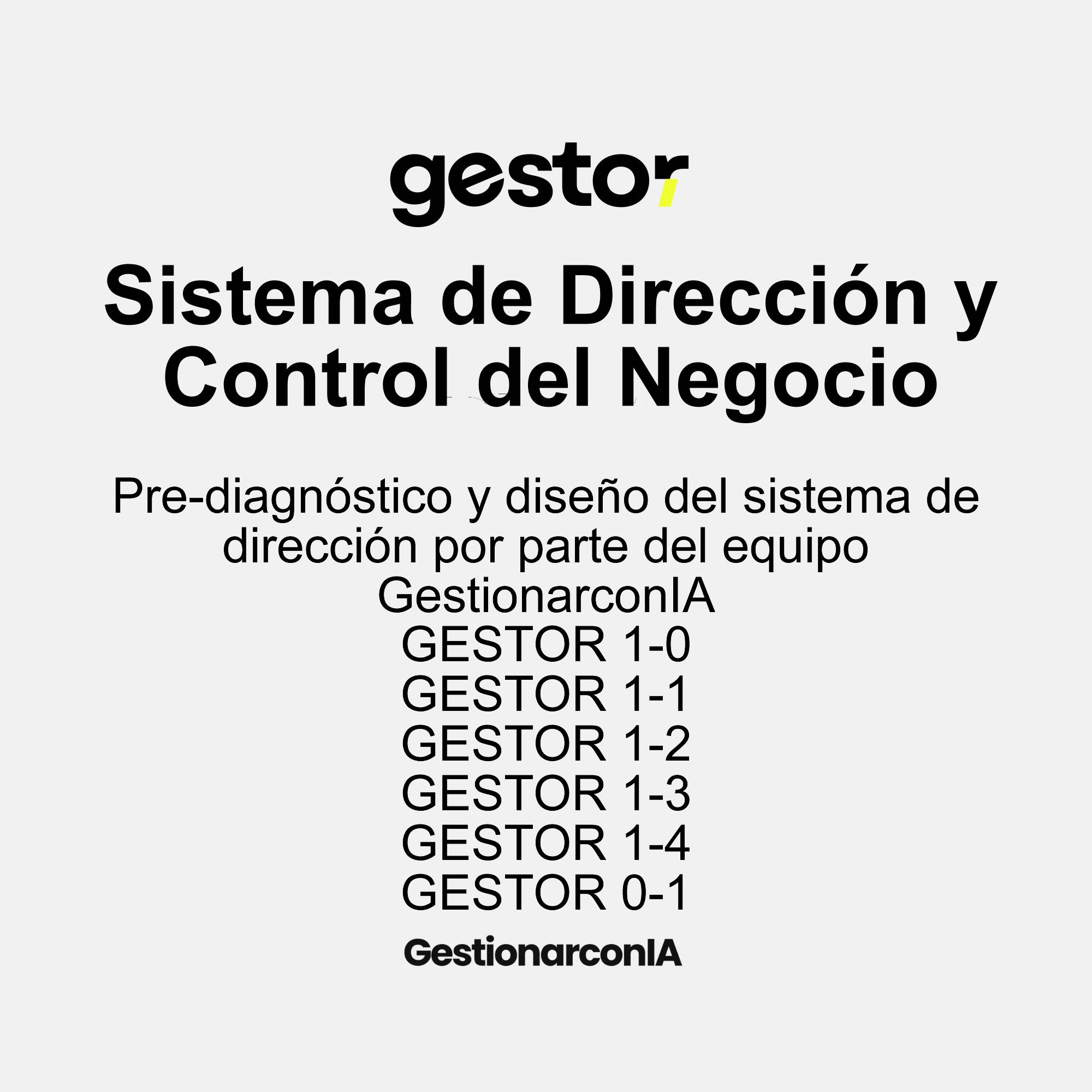 Sistema de Dirección y Control del Negocio