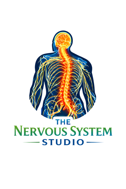 The Nervous System Studio