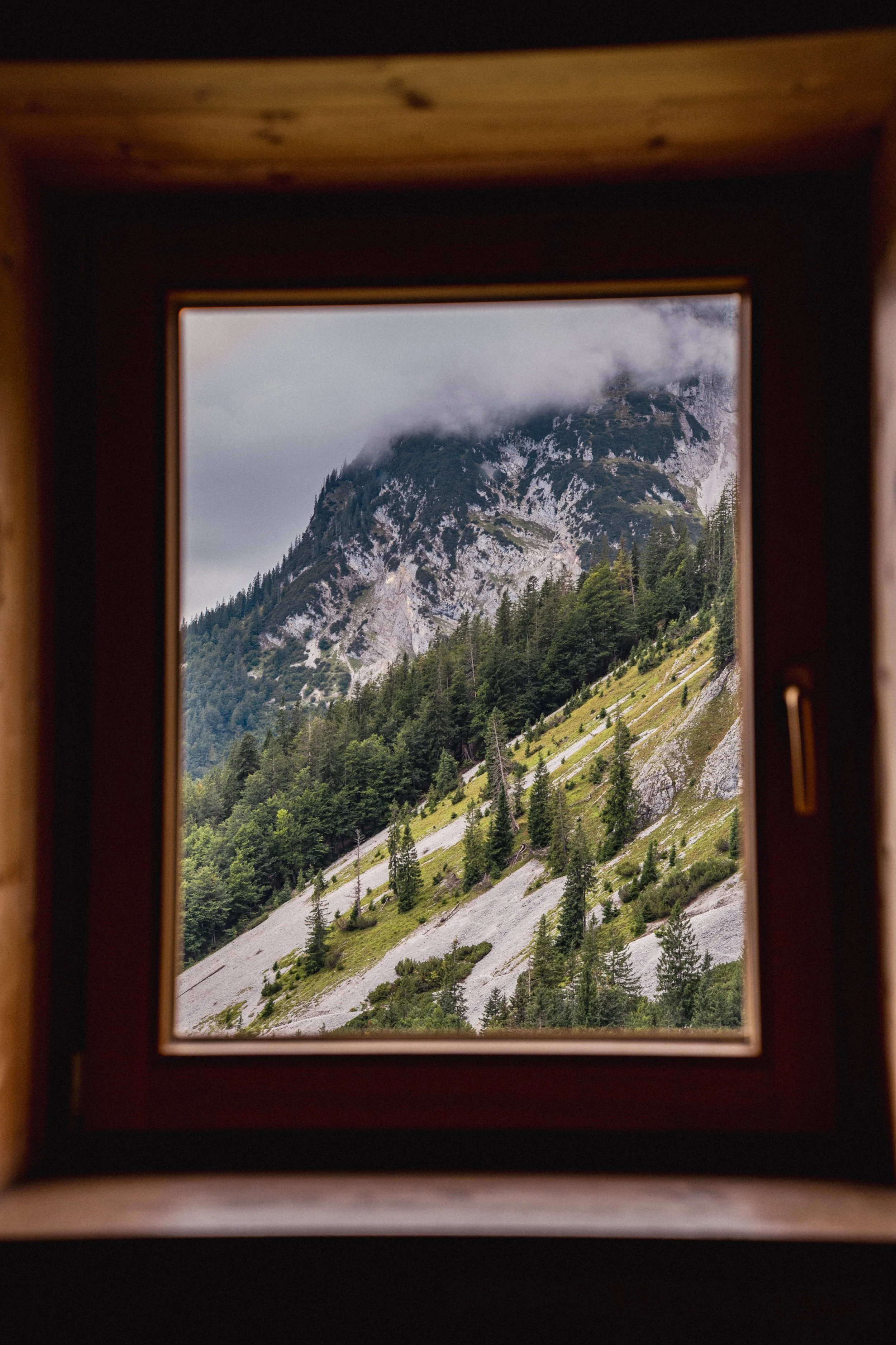 Berg mit bewölktem Himmel, umgeben von Tannen, durch ein Fenster betrachtet.