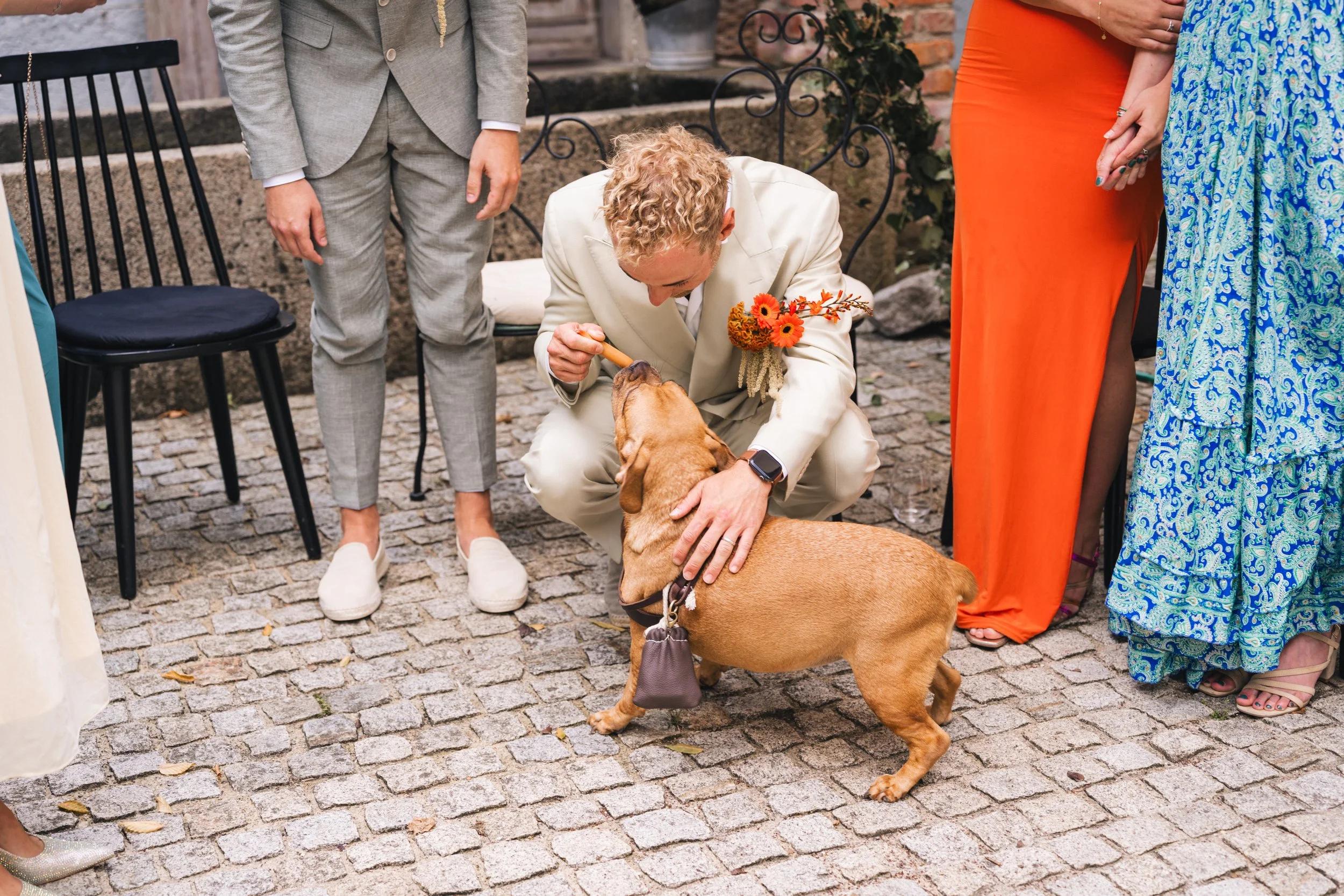 Mann in hellblauem Anzug mit Blumen am Revers und einem Hund während einer Hochzeit im Freien.