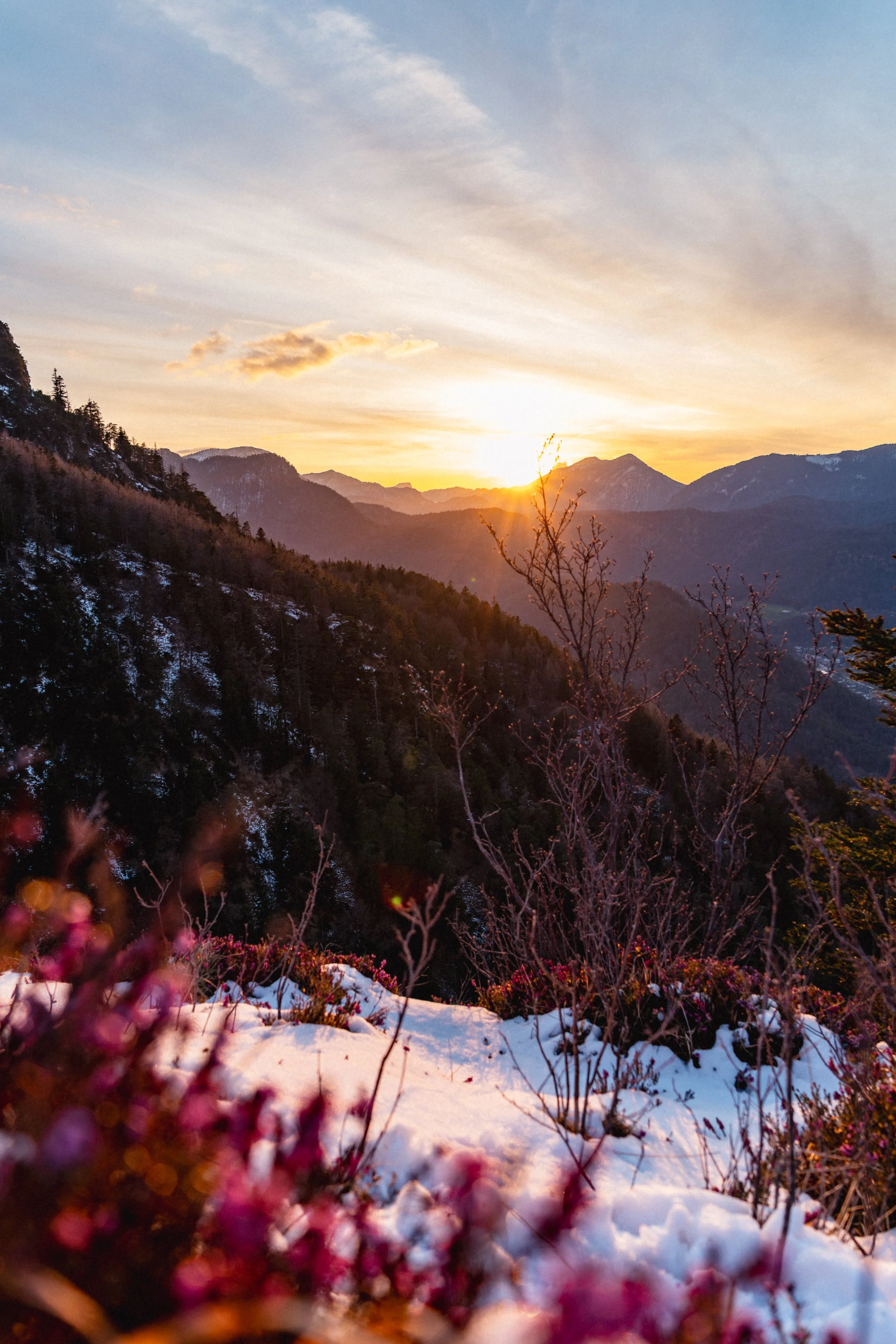 Berglandschaft bei Sonnenuntergang mit schneebedecktem Boden, Bäumen und Bergen im Hintergrund.