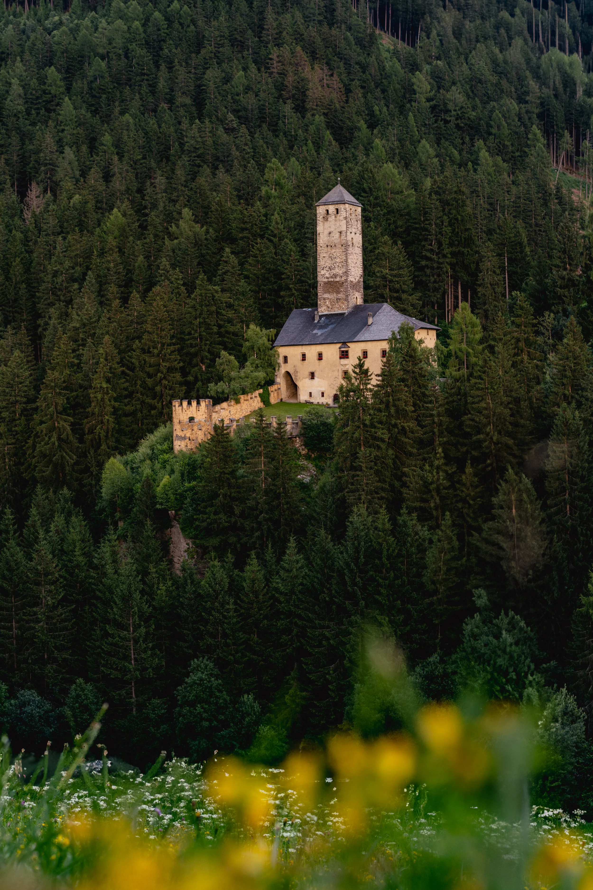 Ein mittelalterliches Schloss auf einem Hügel, umgeben von dichten Wäldern, mit einem hohen Turm und einer Steinmauer.
