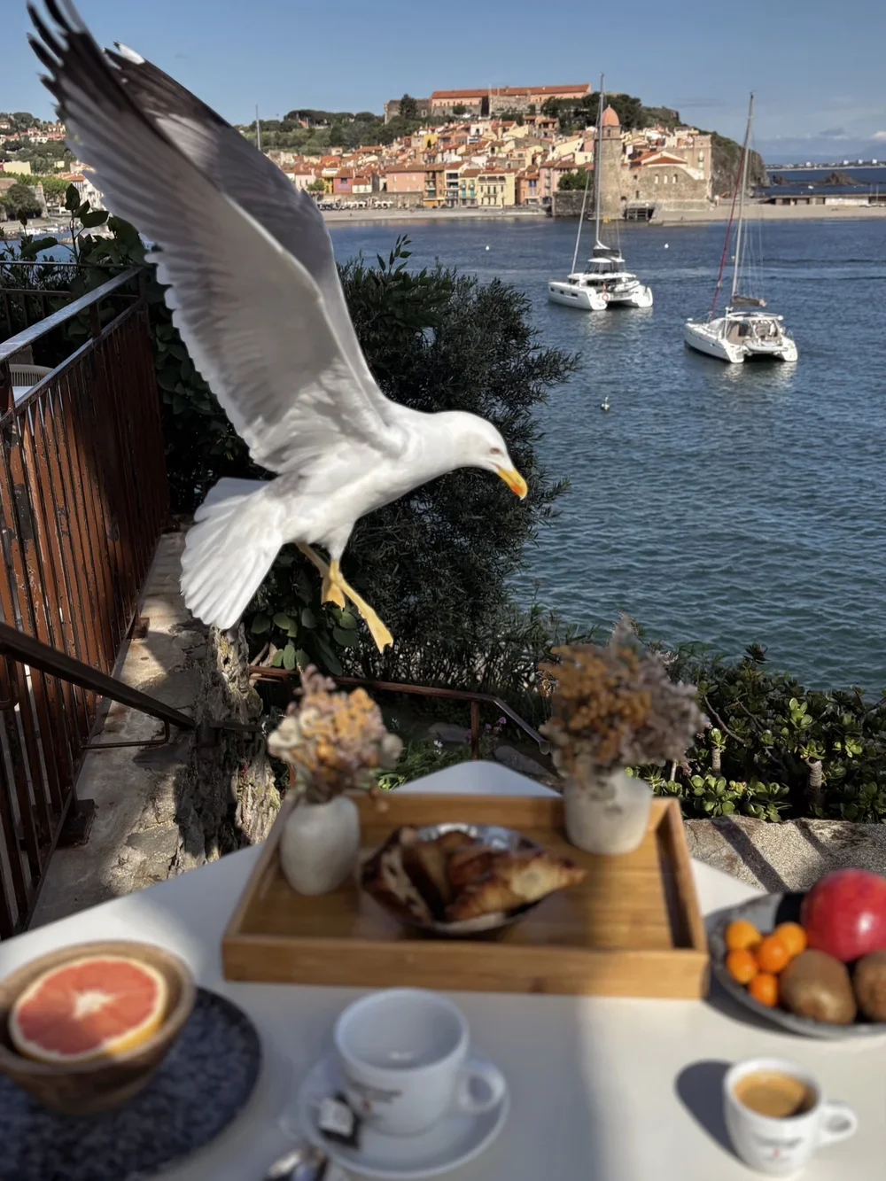 Les Roches Brunes COLLIOURE