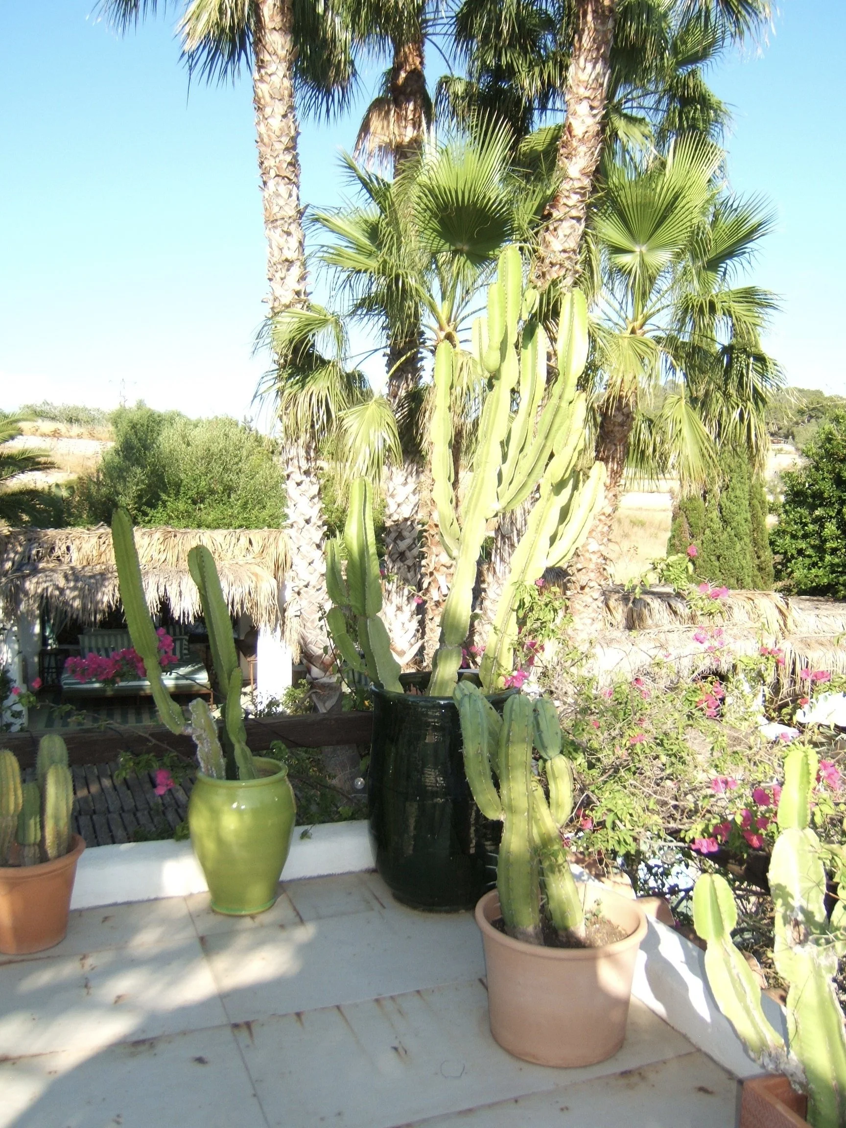 finca legado7.JPG