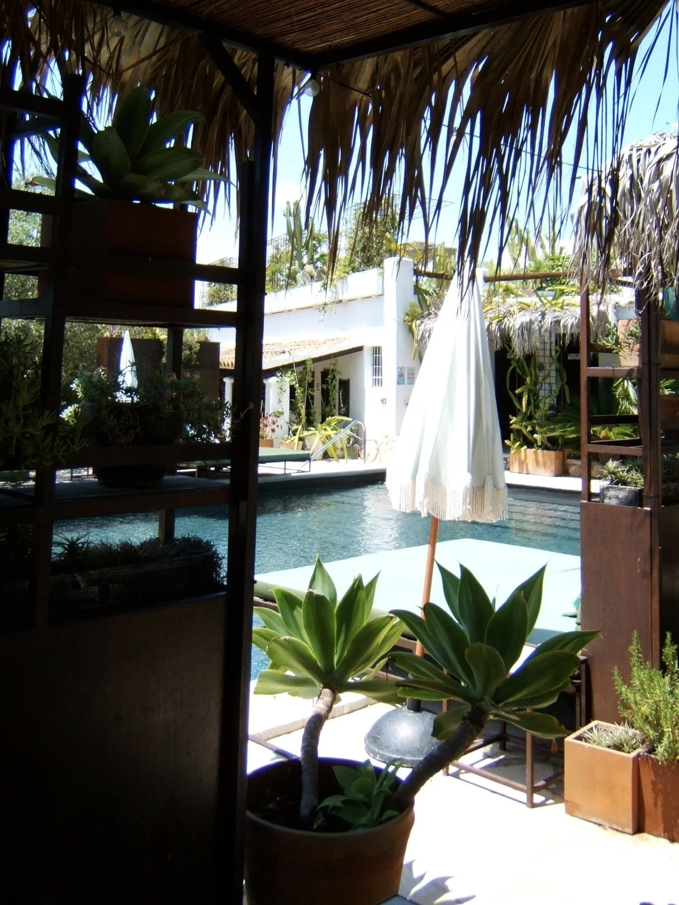 finca legado10.jpg