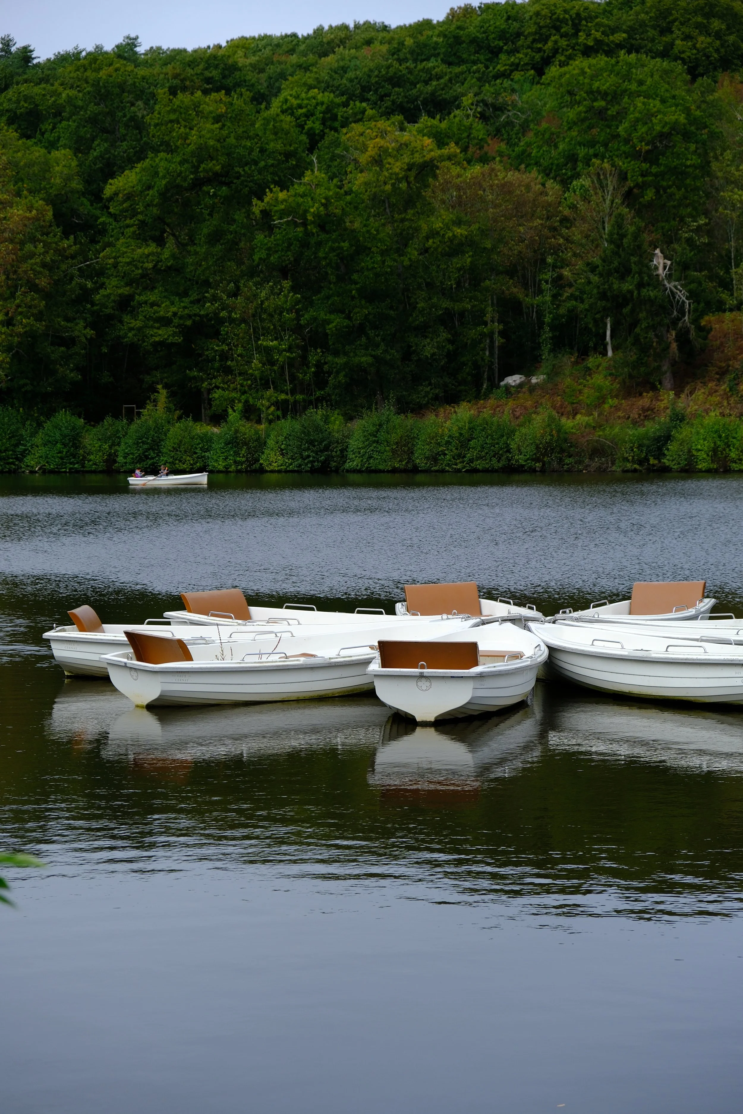 DSCF1529.JPG