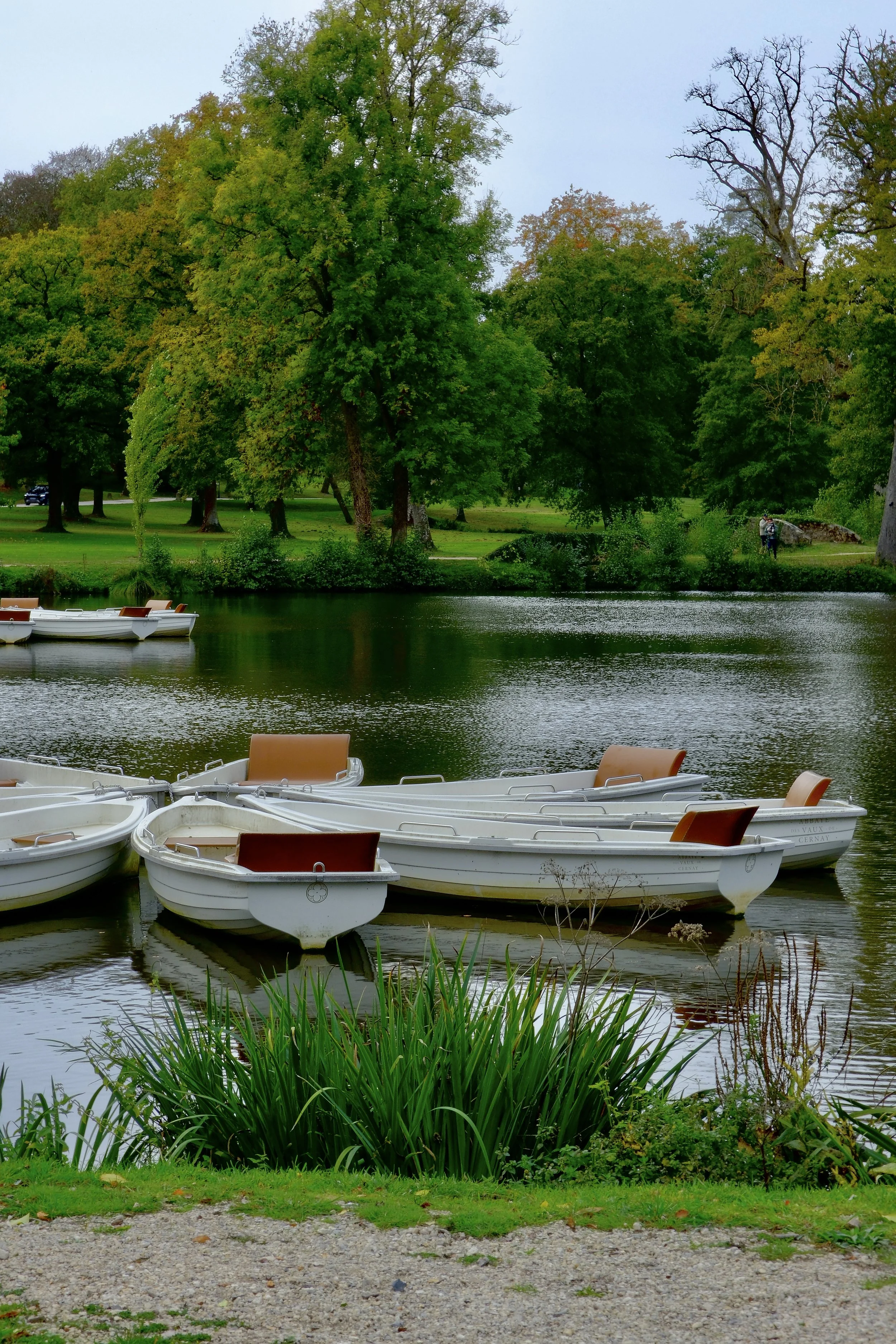 DSCF1561.jpg