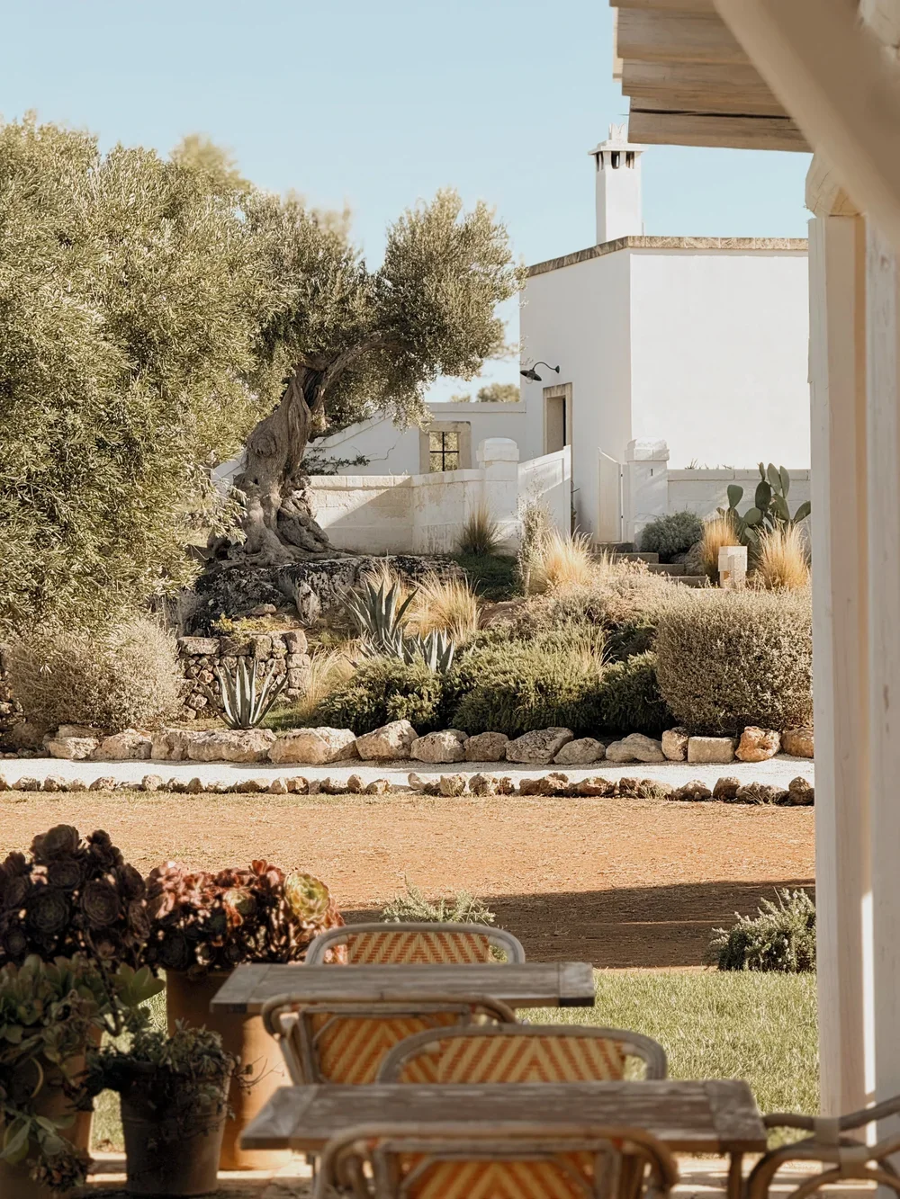 masseria calderisi29.webp