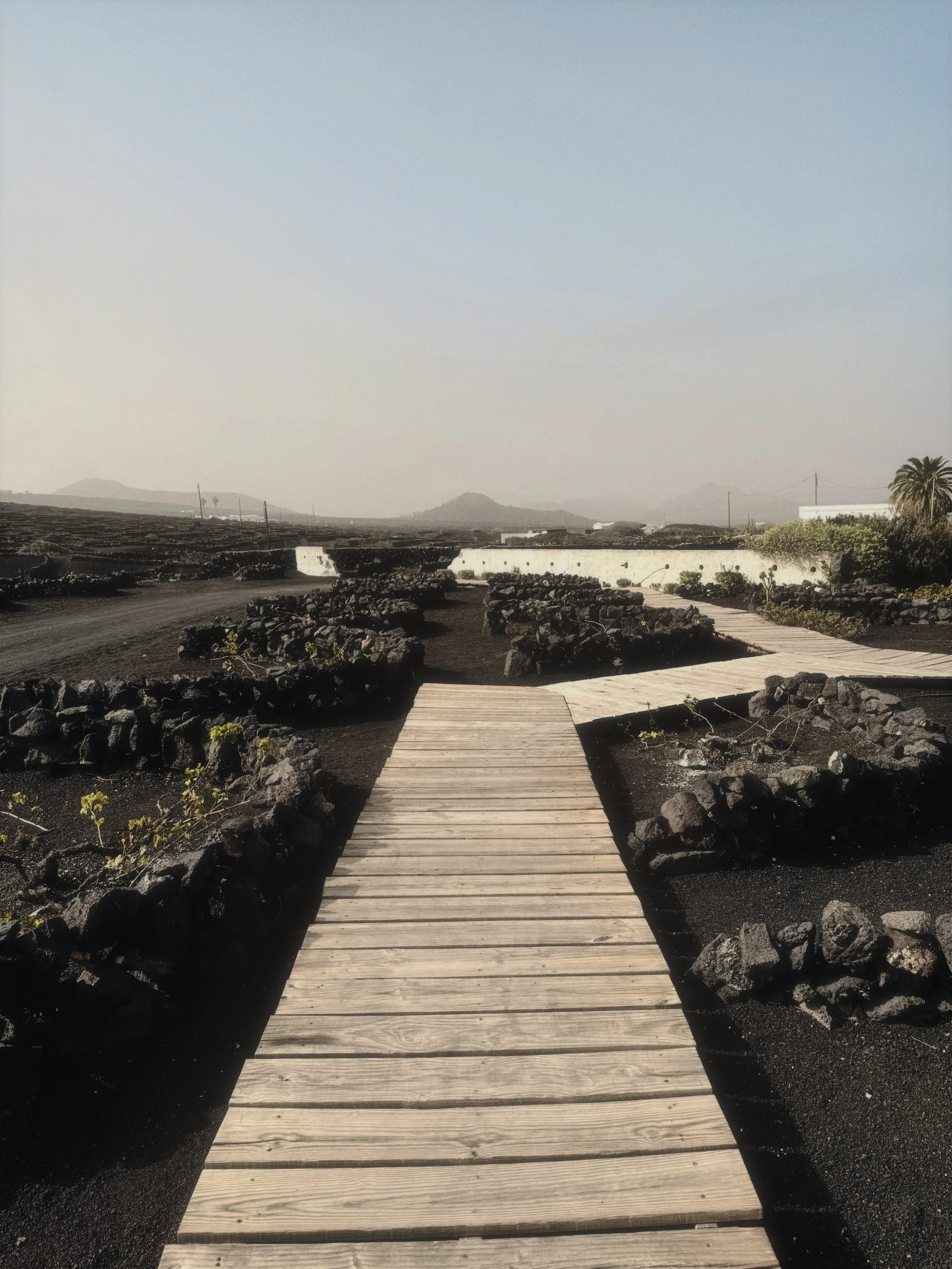 lanzarote13.jpeg