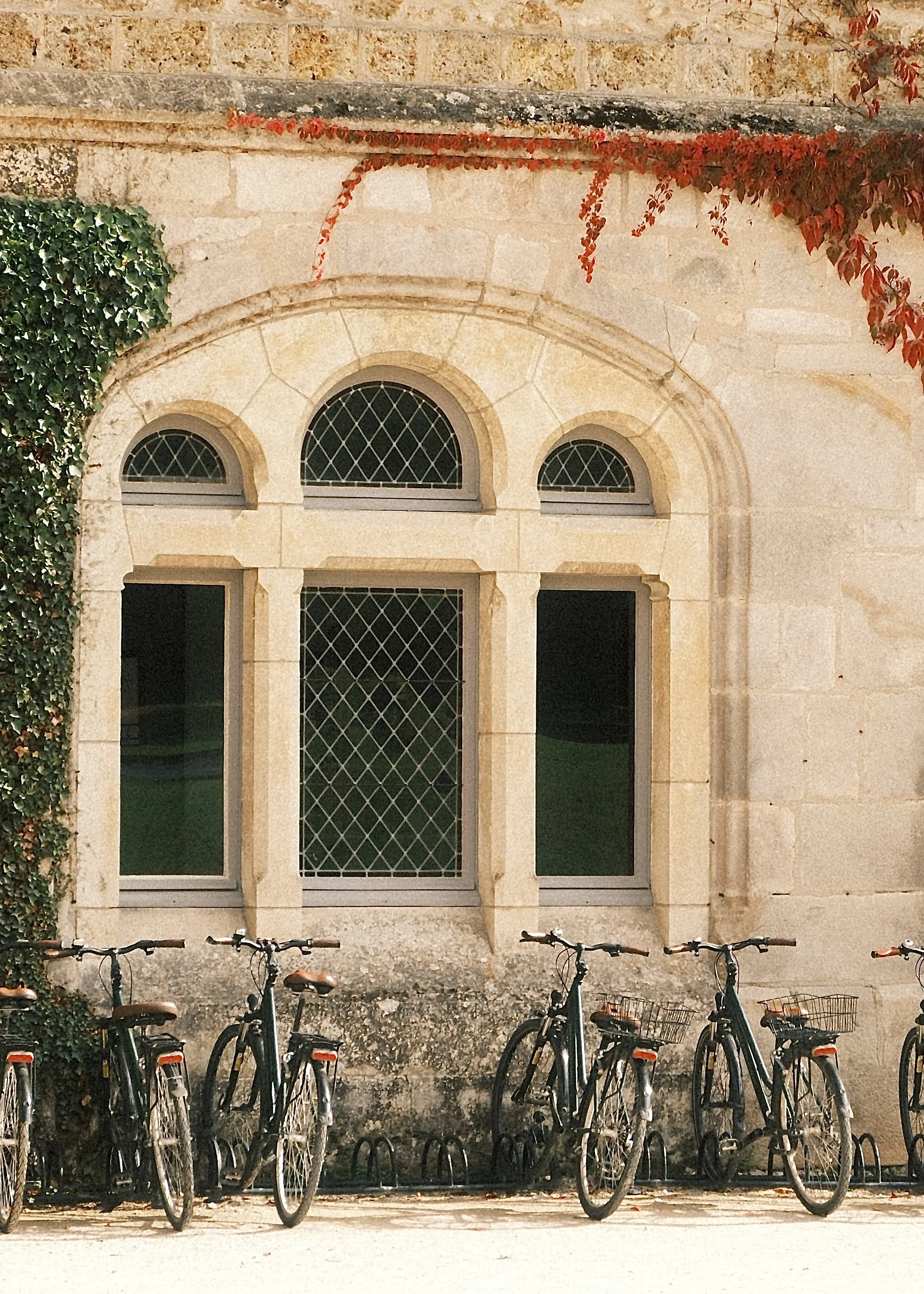 Abbaye 9.jpg