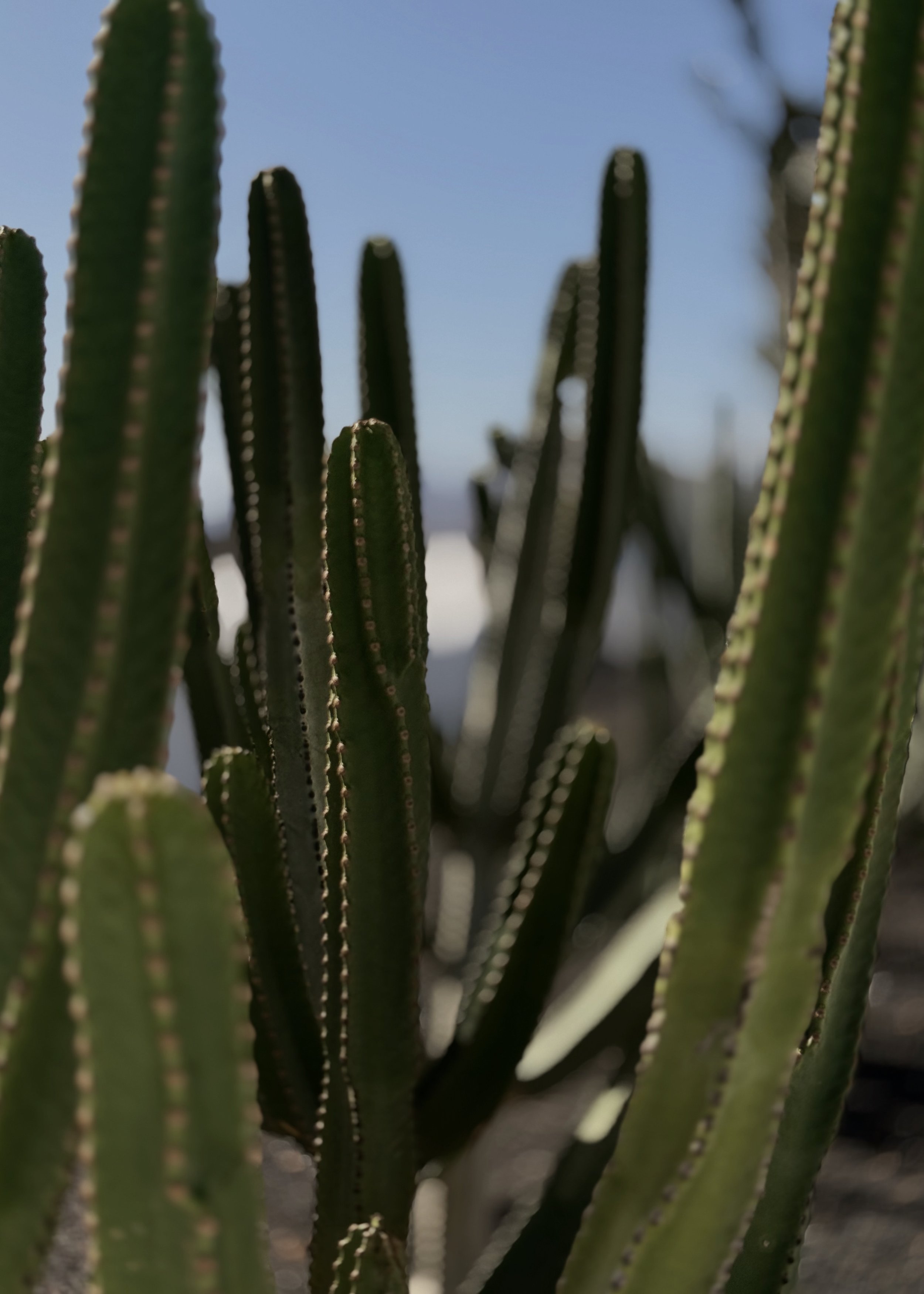 lanzarote5.jpeg